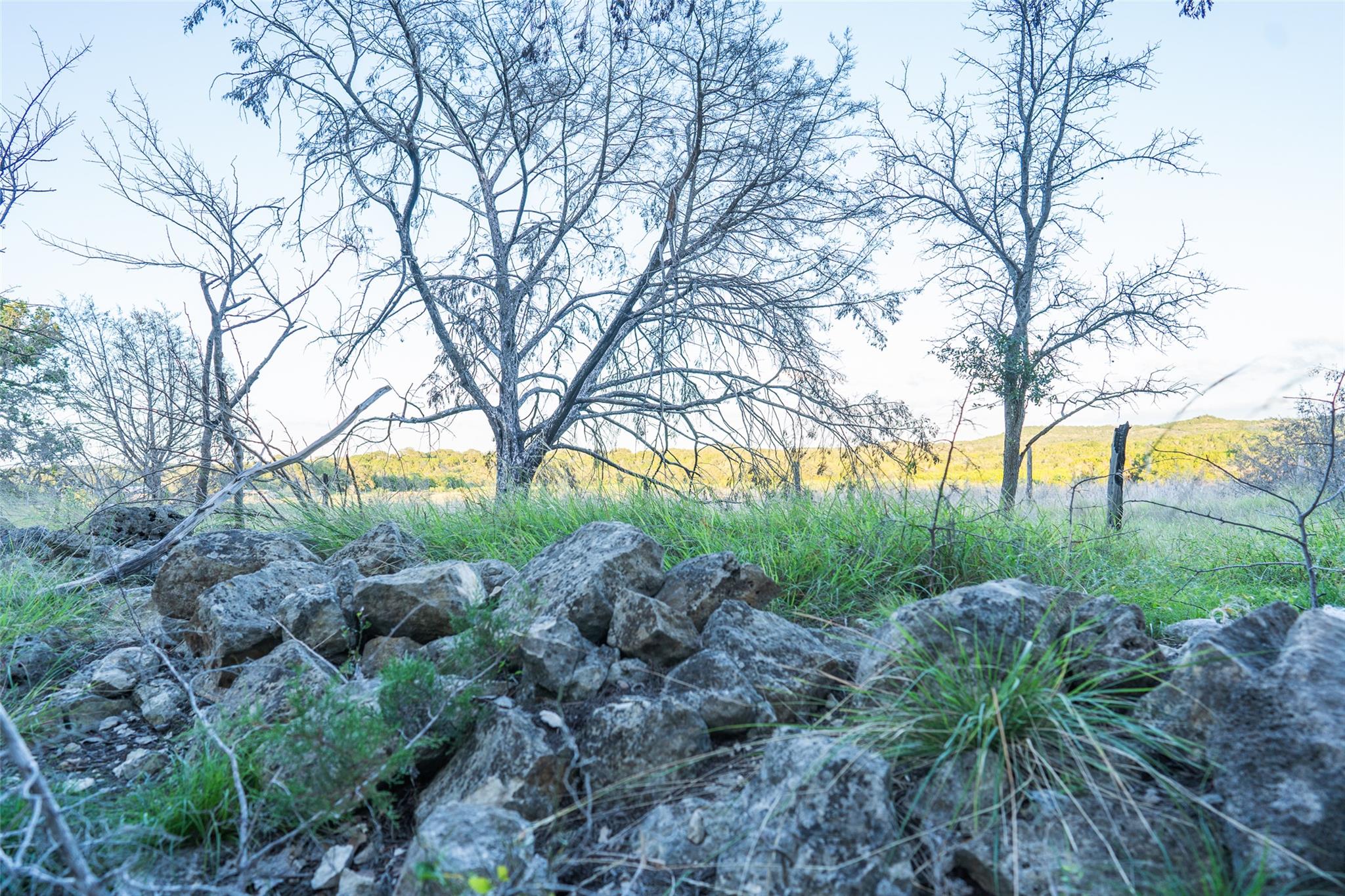 Image 6 of 30 For Tbd Crabapple Rd