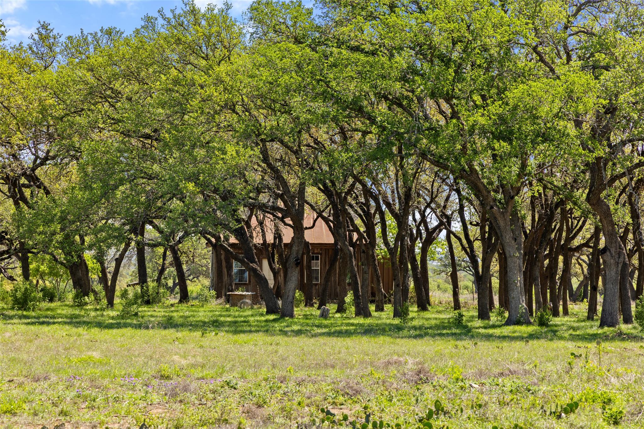 Image 13 of 18 For 365 Gipson Rd