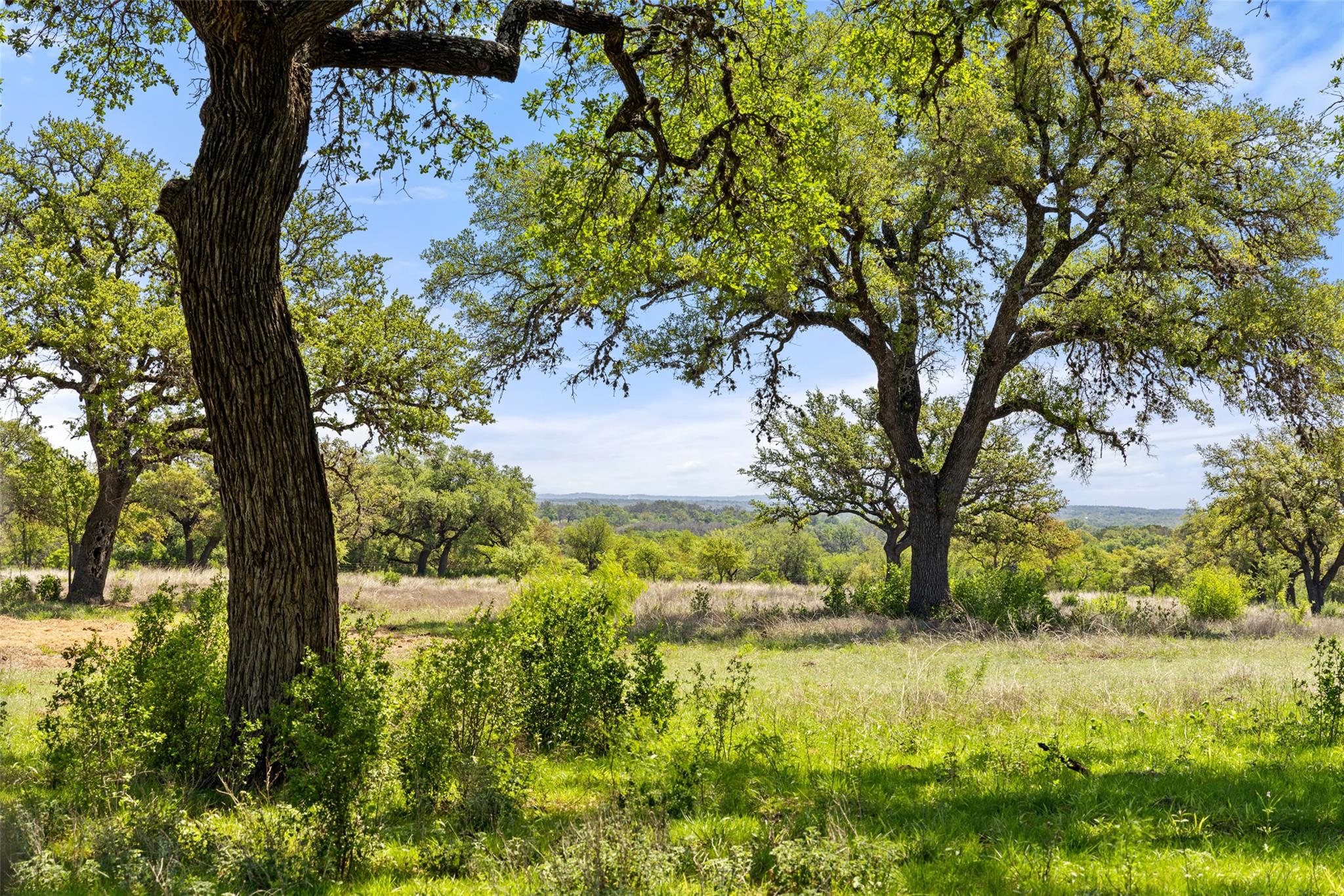 Image 14 of 18 For 365 Gipson Rd