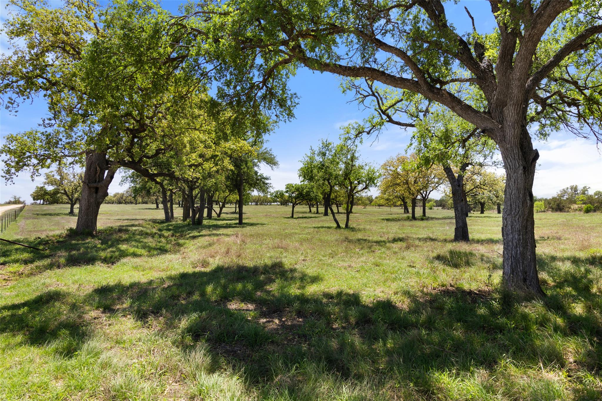 Image 16 of 18 For 365 Gipson Rd