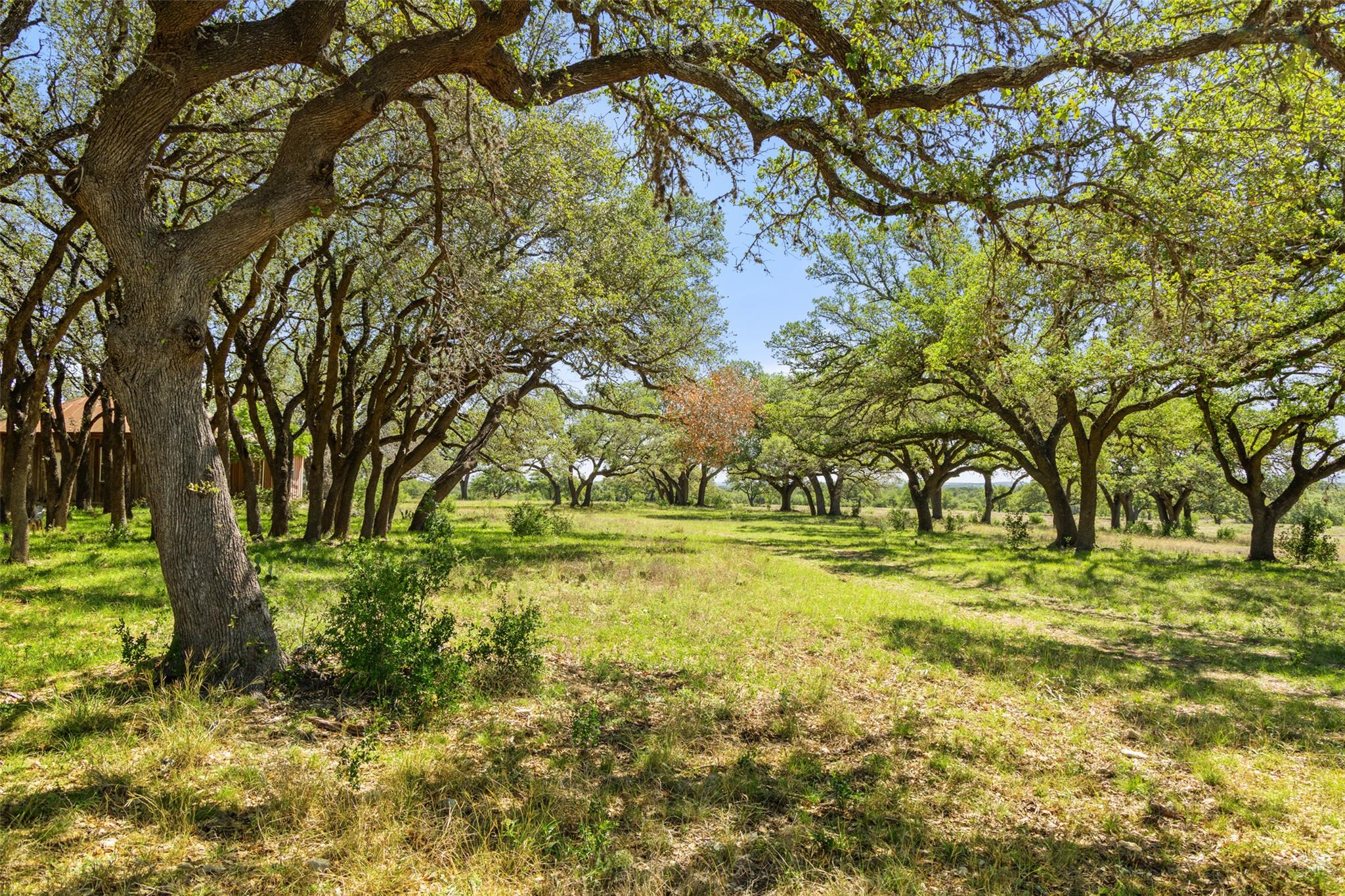 Image 18 of 18 For 365 Gipson Rd