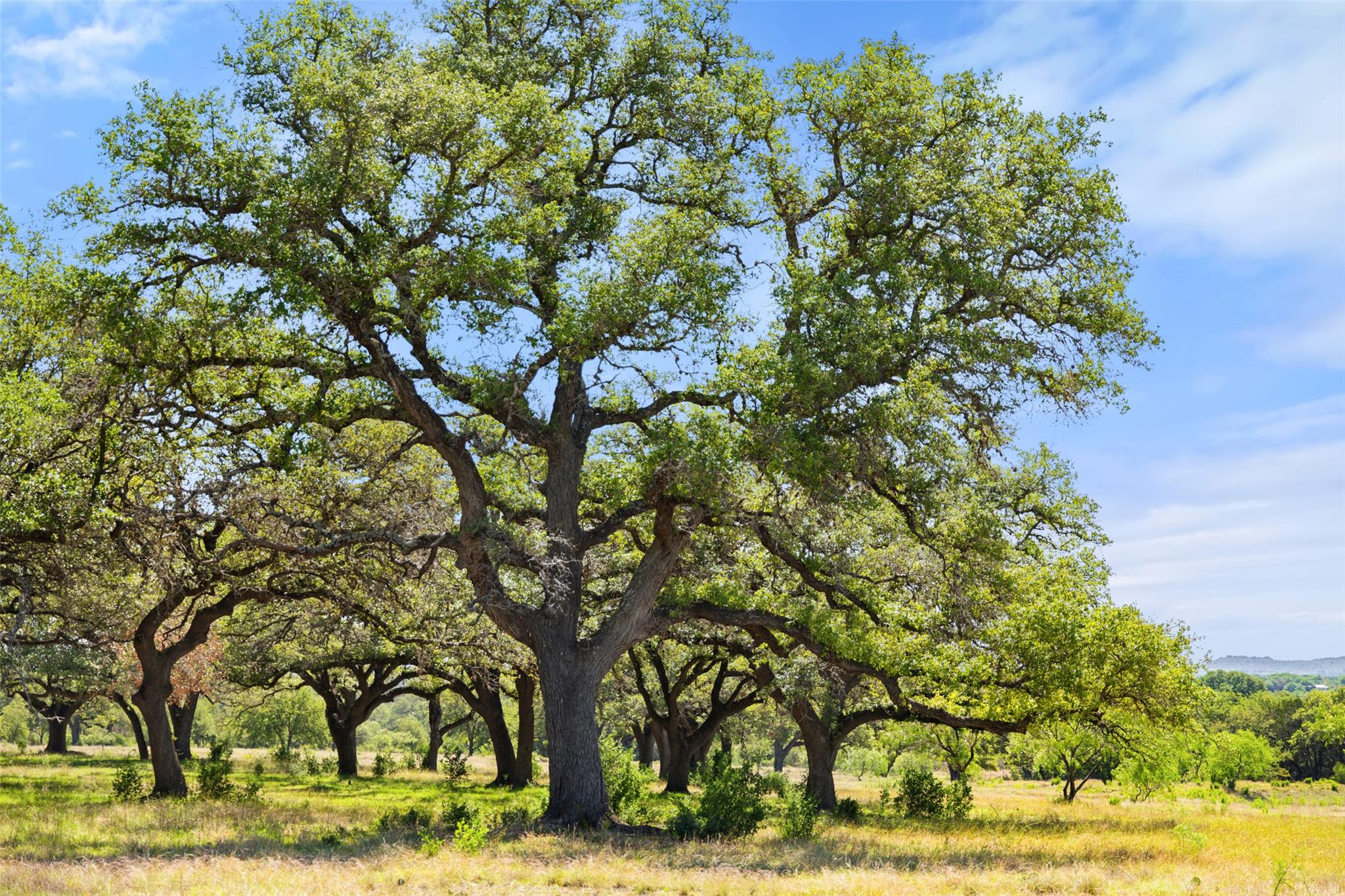 Image 8 of 18 For 365 Gipson Rd