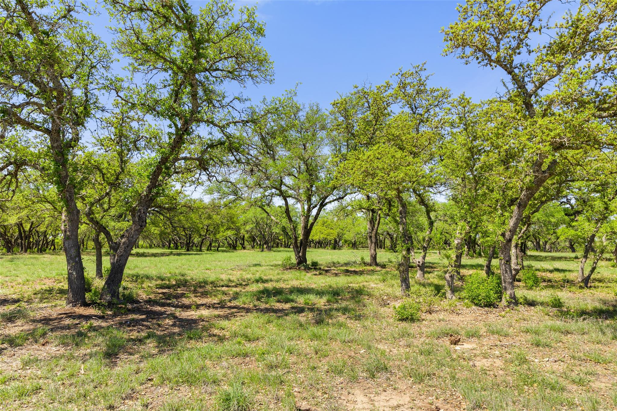 Image 9 of 18 For 365 Gipson Rd