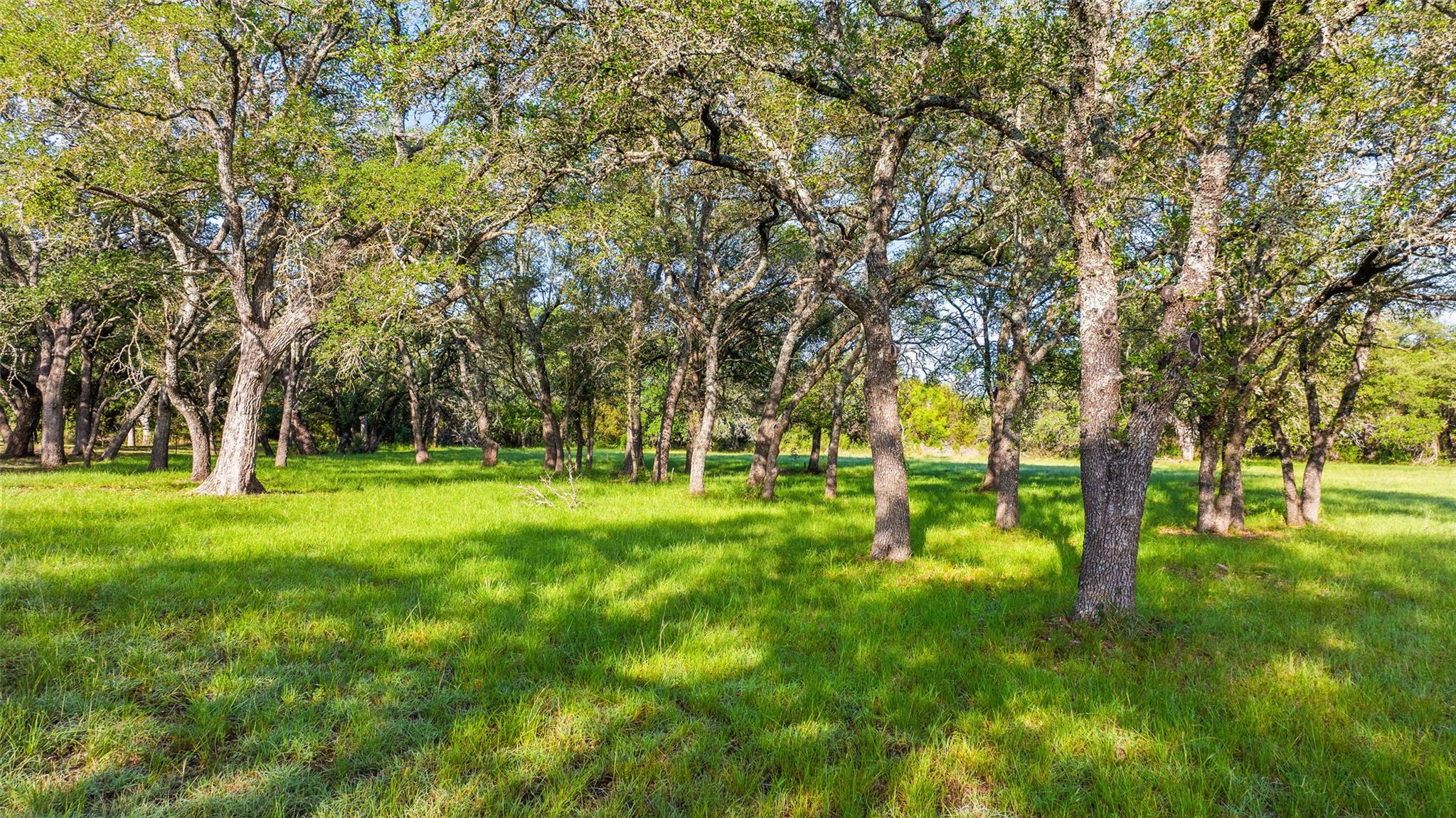 Image 11 of 28 For Lot 7 Morning Dew Dr
