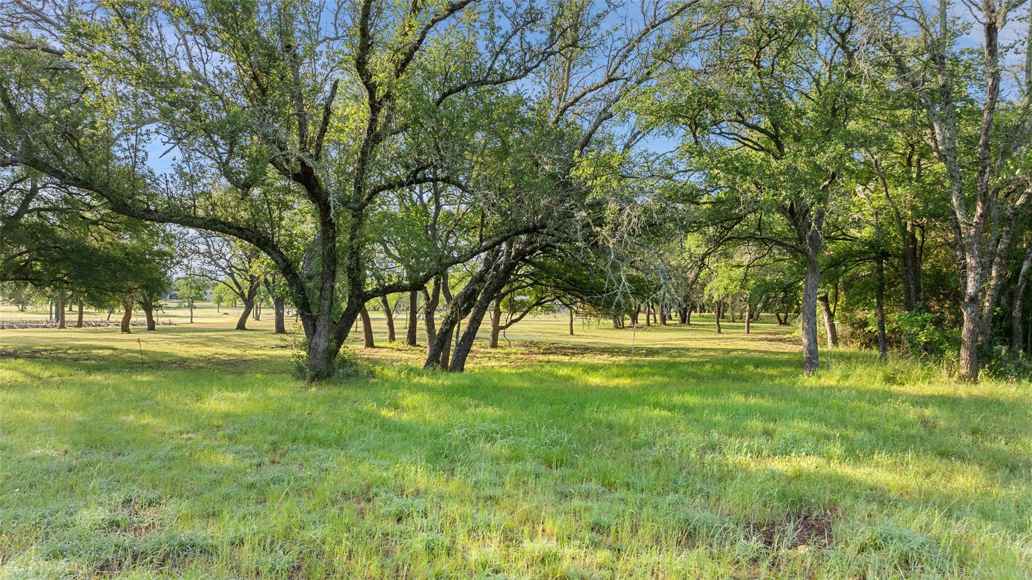 Image 14 of 28 For Lot 7 Morning Dew Dr