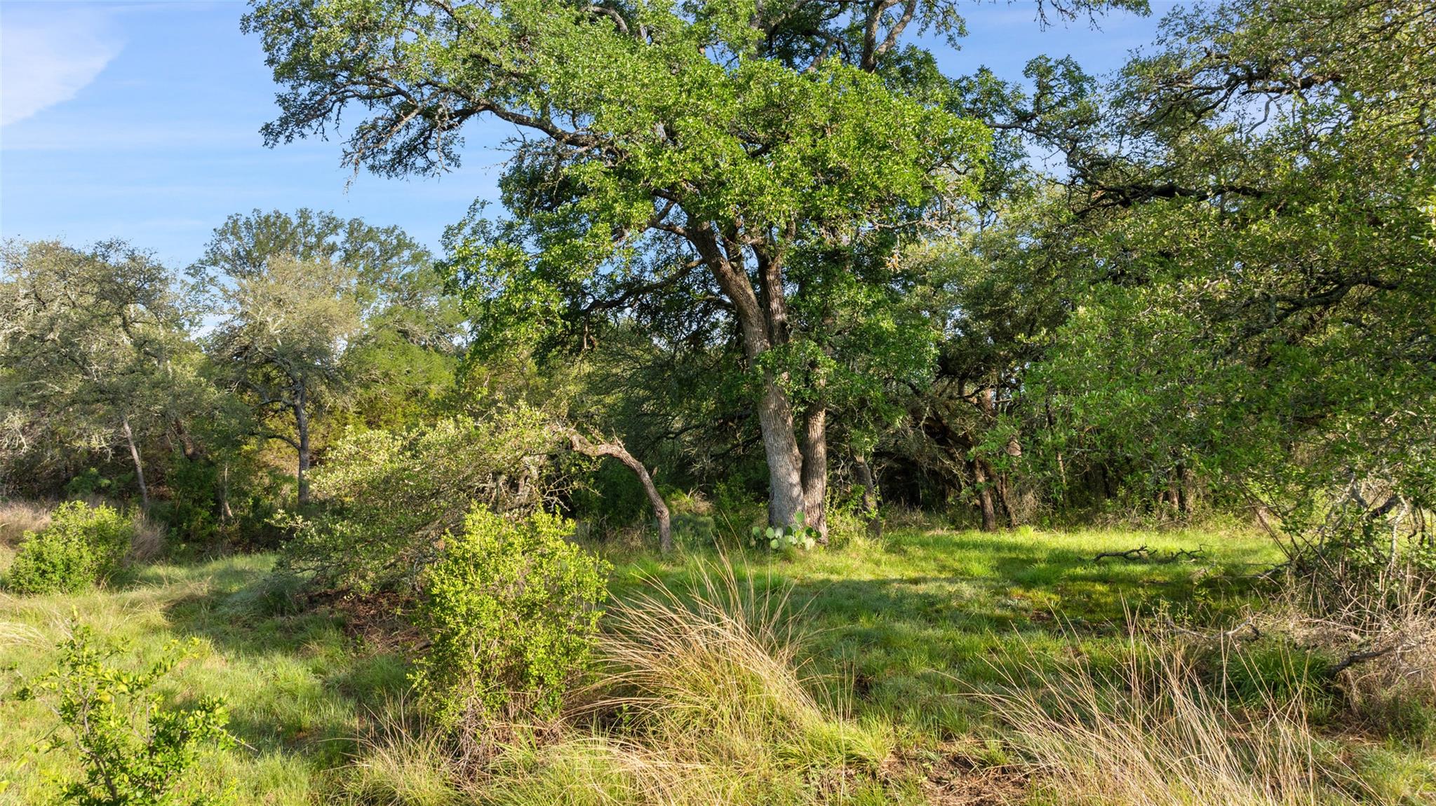 Image 20 of 28 For Lot 7 Morning Dew Dr