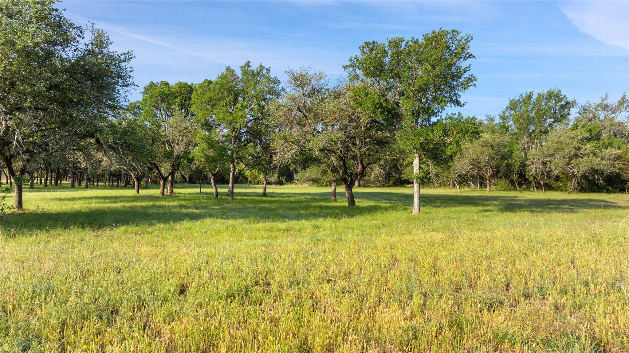 Image 24 of 28 For Lot 7 Morning Dew Dr