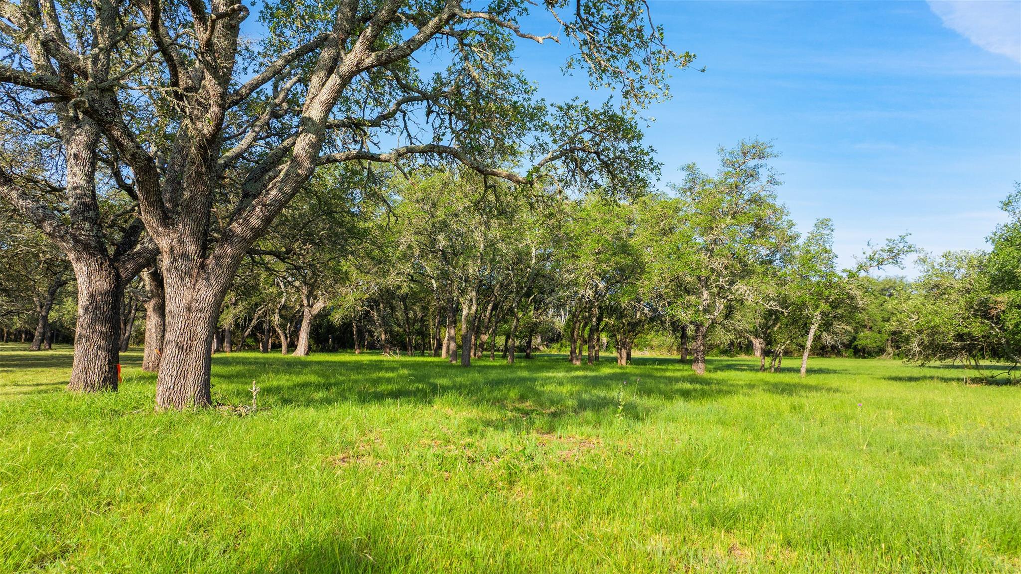 Image 4 of 28 For Lot 7 Morning Dew Dr