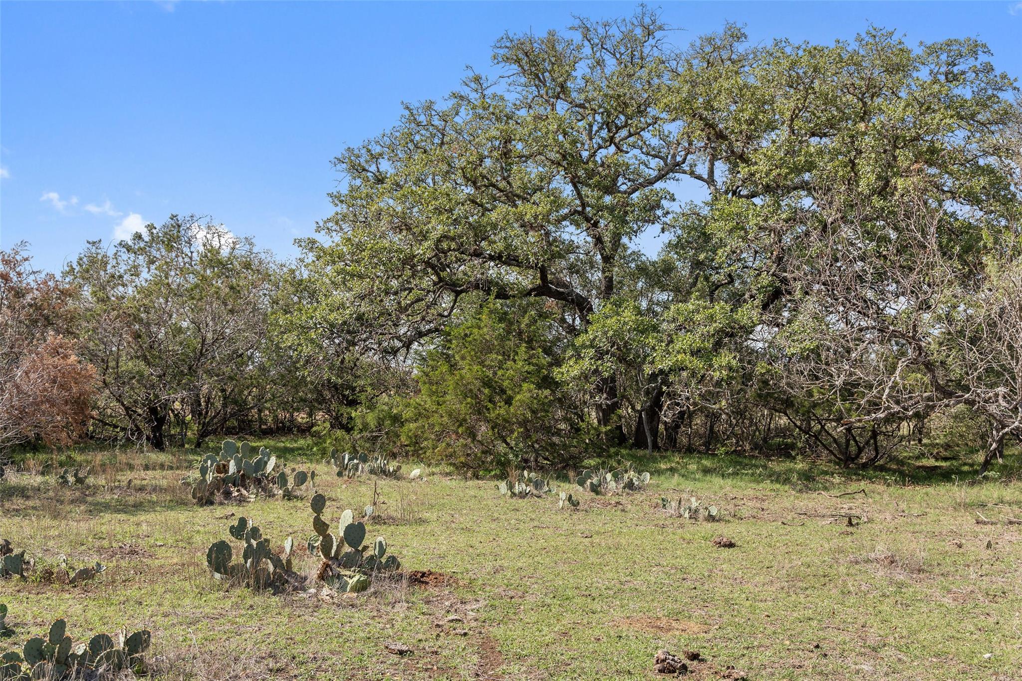 Image 7 of 15 For Long Cask Us Hwy 290