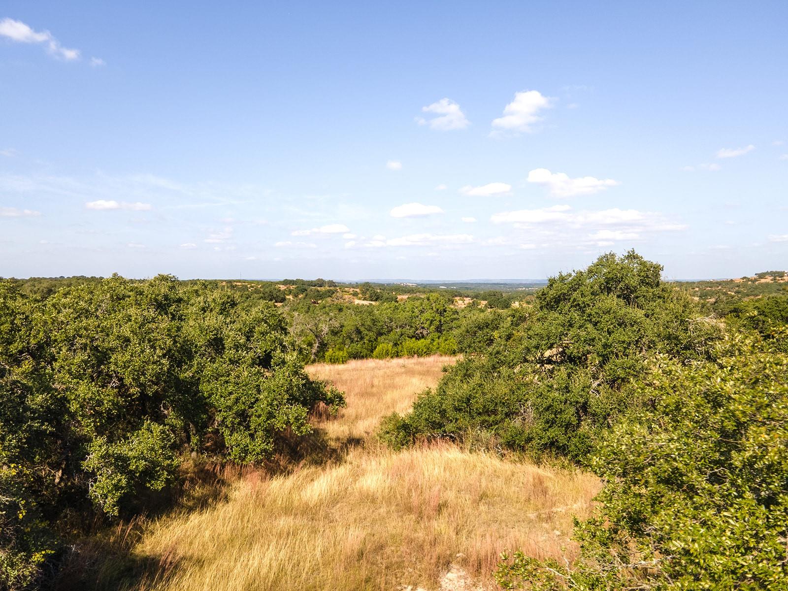 Image 2 of 38 For 140 Lantana Dr