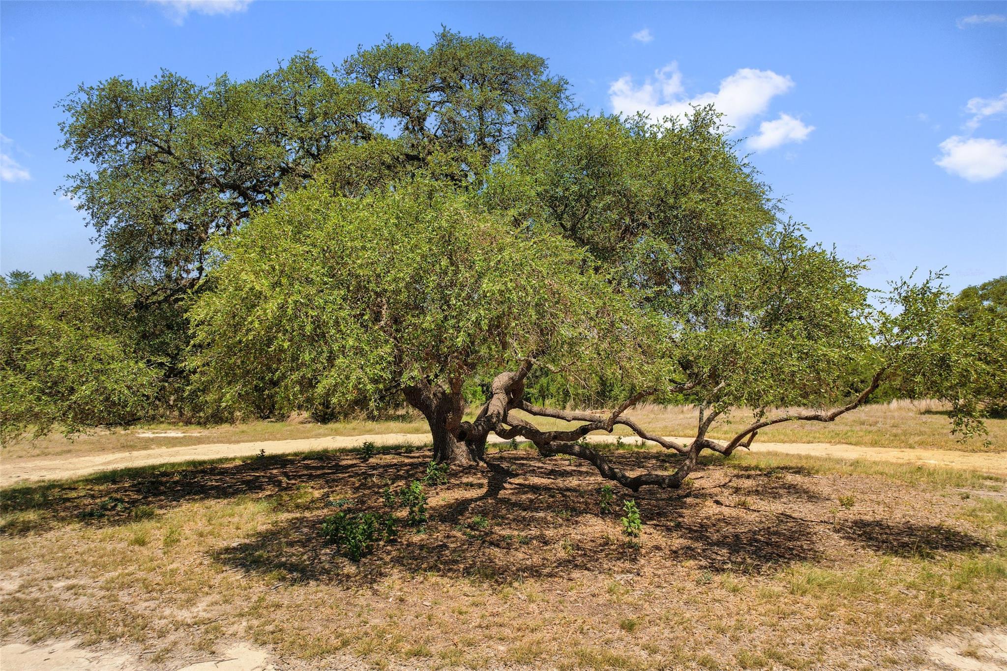 Image 20 of 38 For 140 Lantana Dr