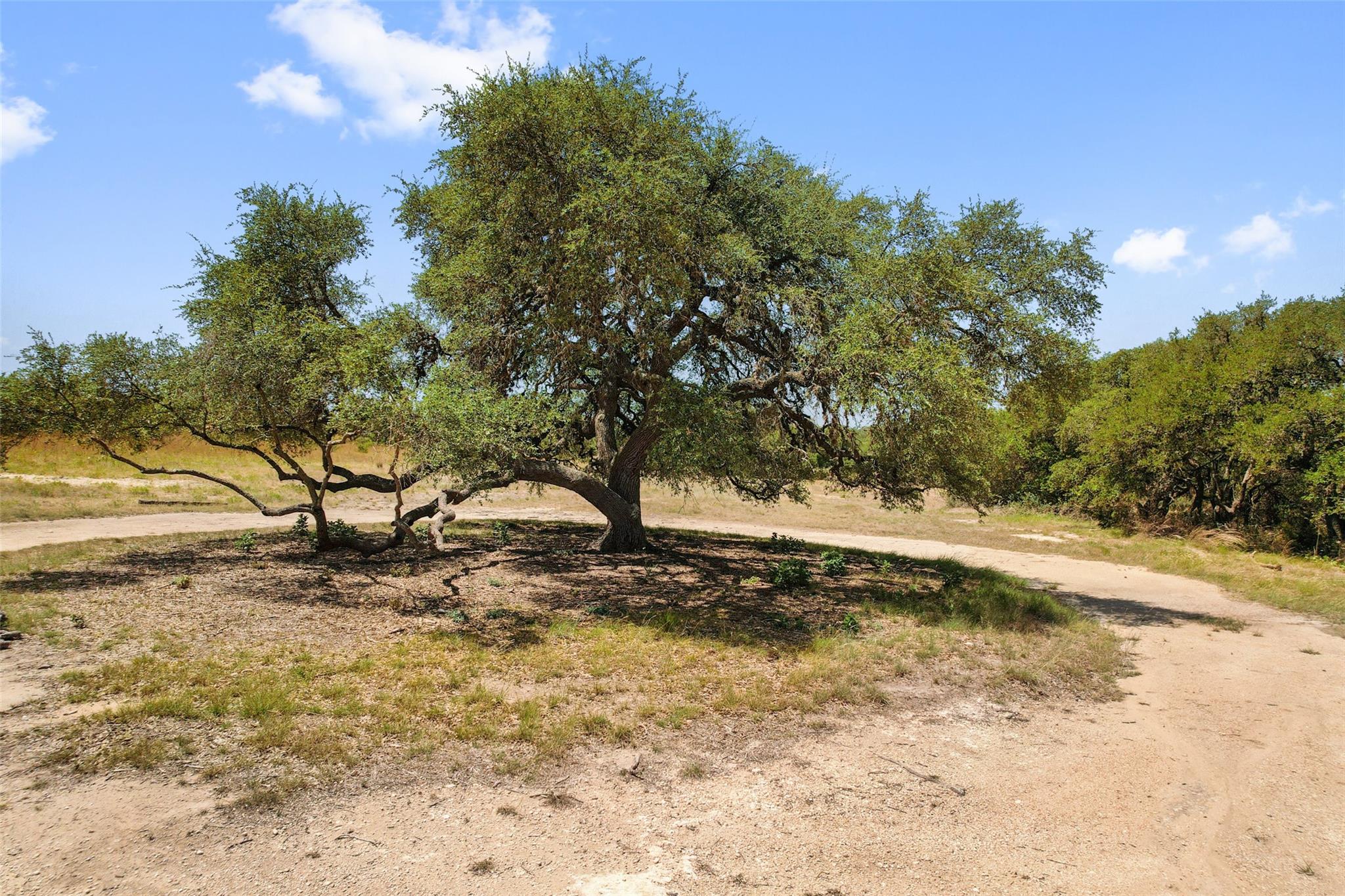 Image 21 of 38 For 140 Lantana Dr