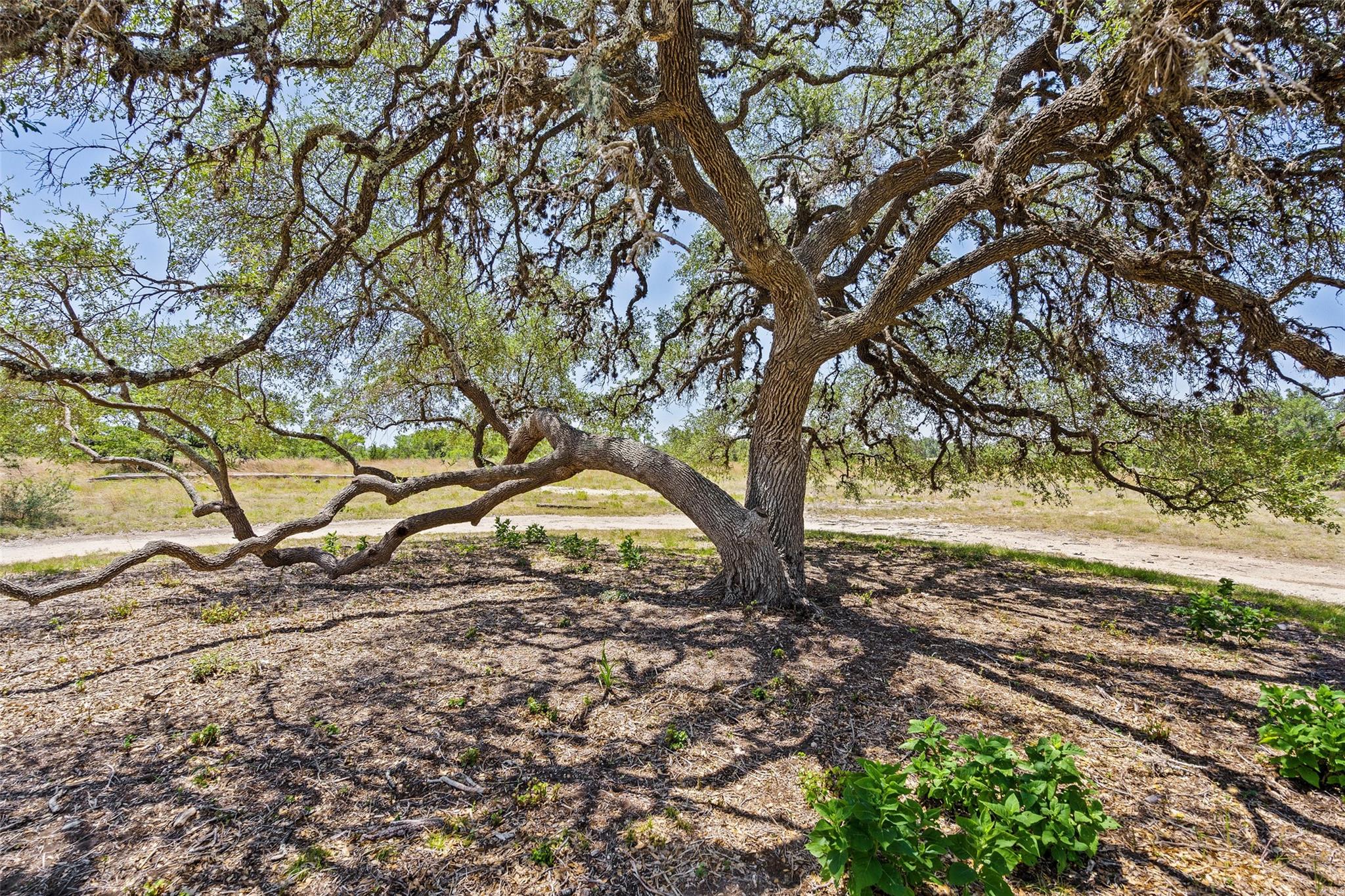 Image 22 of 38 For 140 Lantana Dr