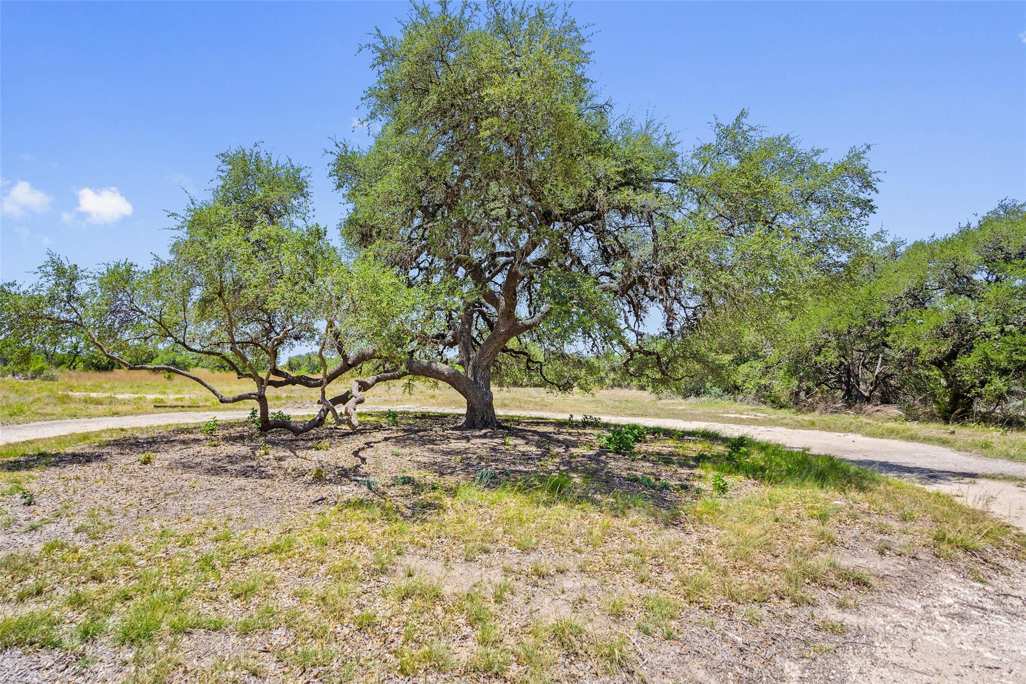 Image 23 of 38 For 140 Lantana Dr