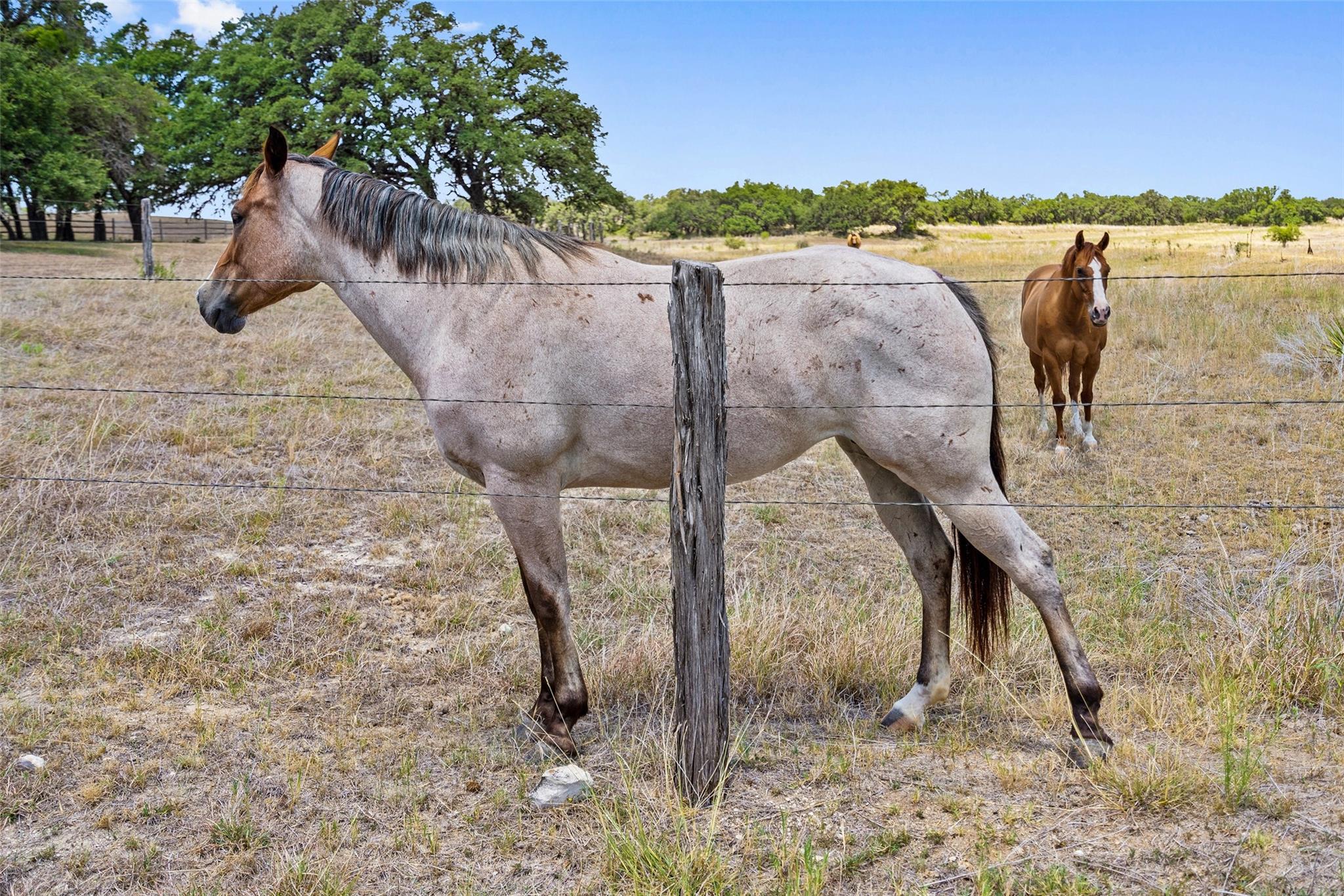 Image 27 of 38 For 140 Lantana Dr