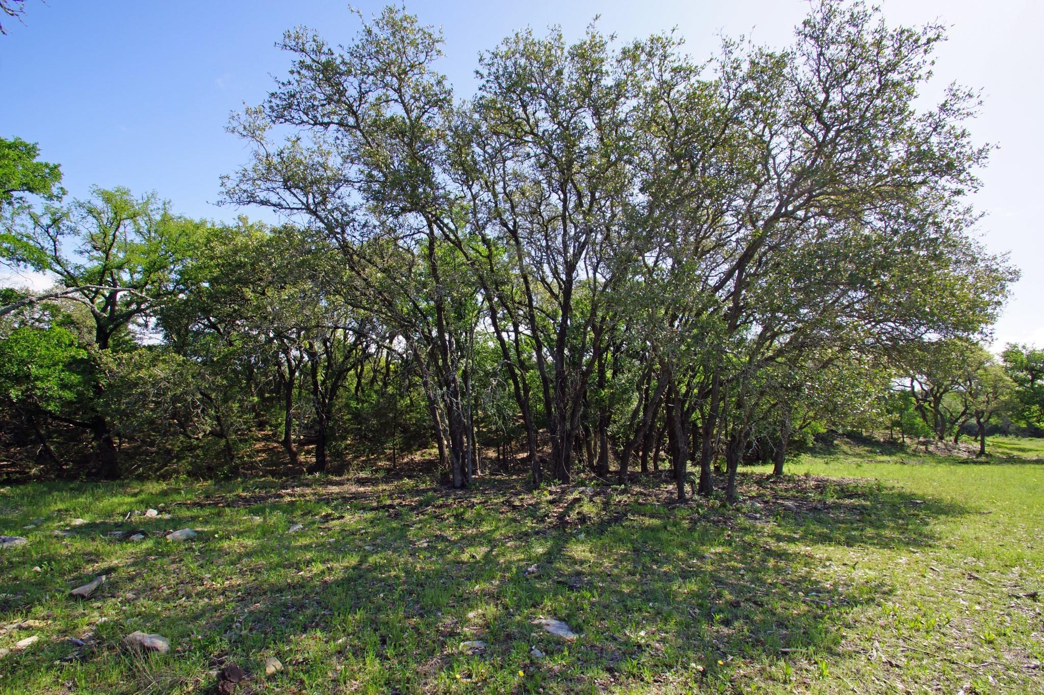 Image 13 of 20 For Lot 48 Bridget Ct