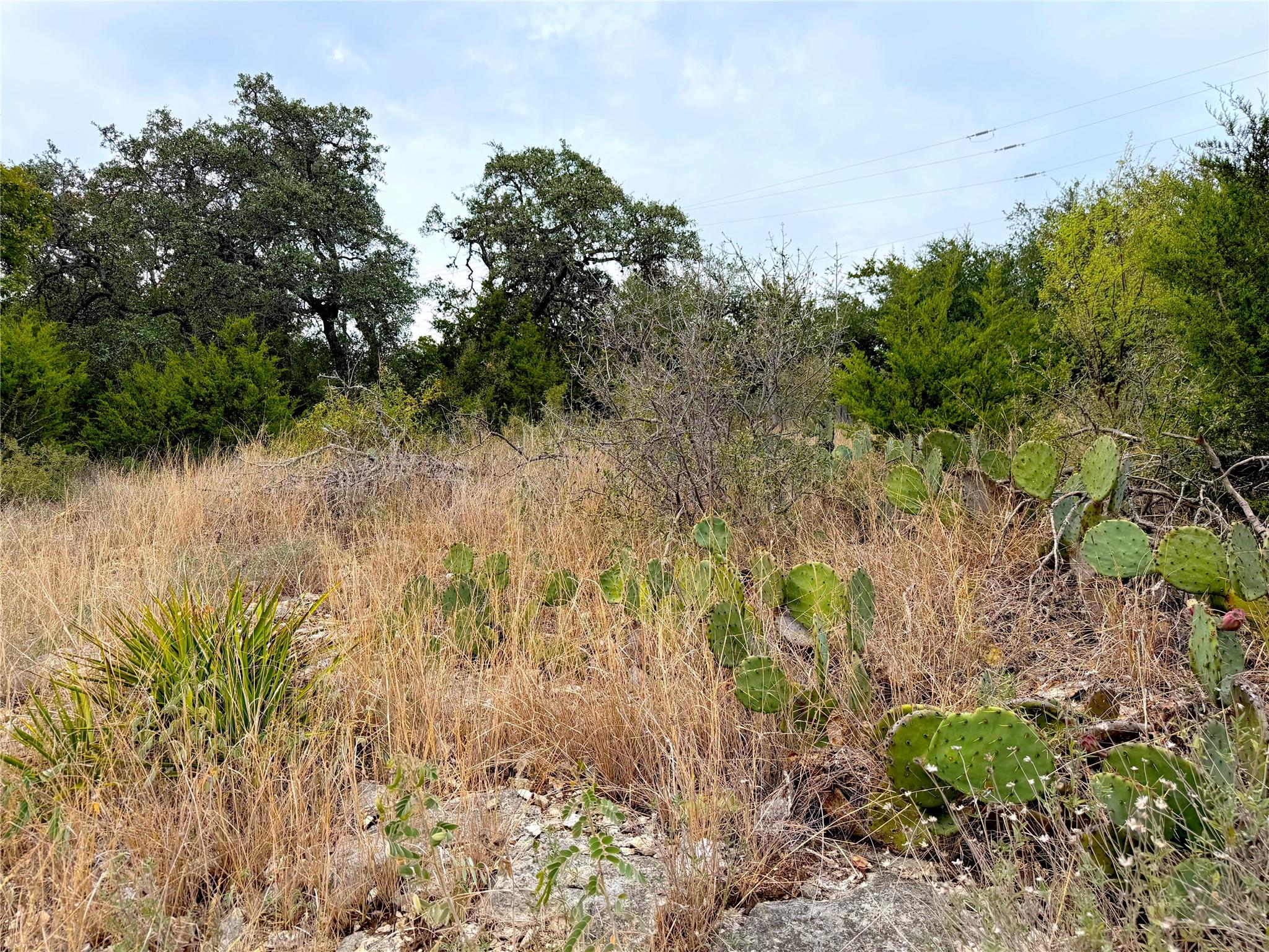 Image 6 of 16 For 1232 Kings Cove Dr