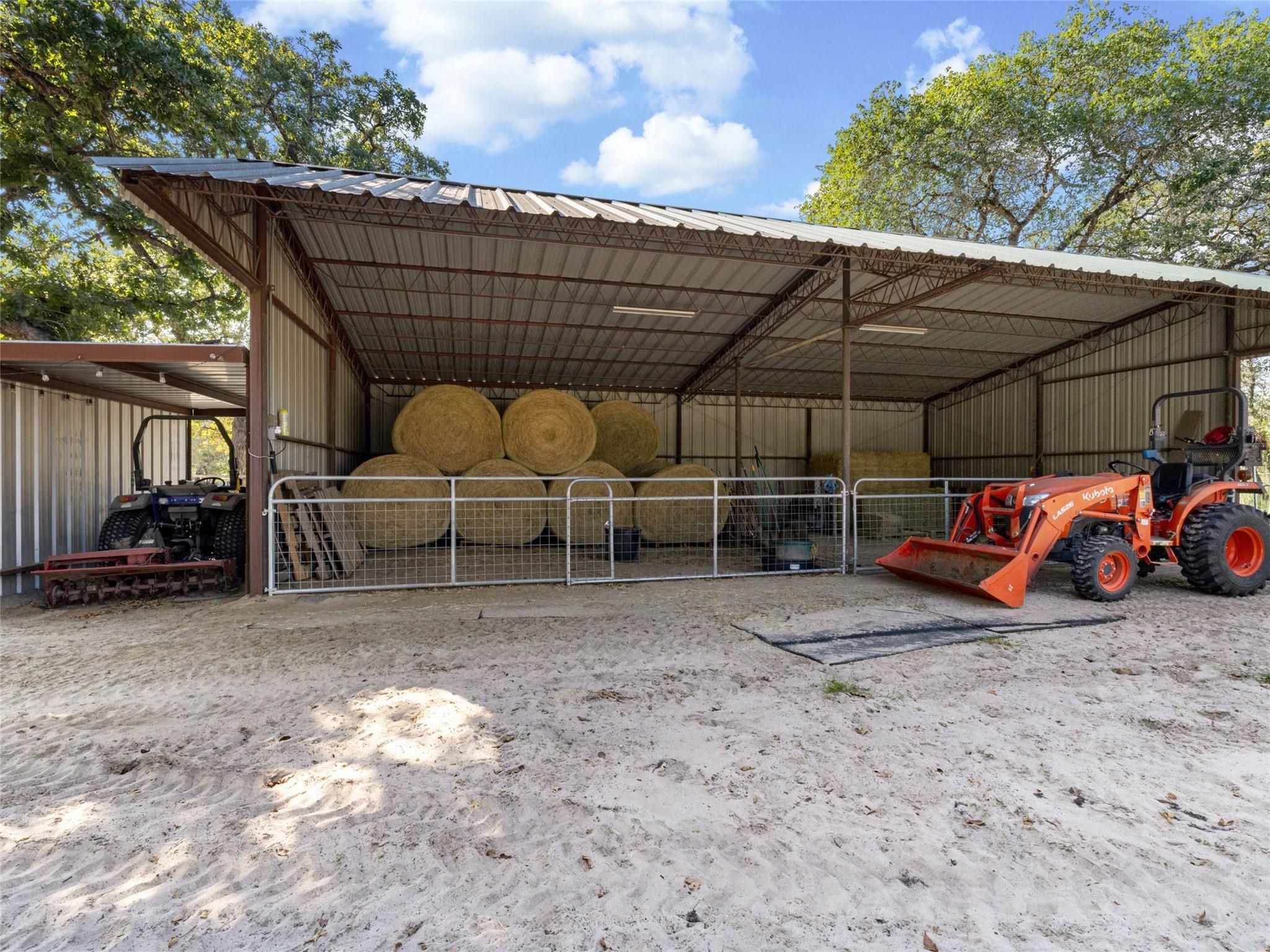 Image 31 of 40 For 1010 Wild Flower