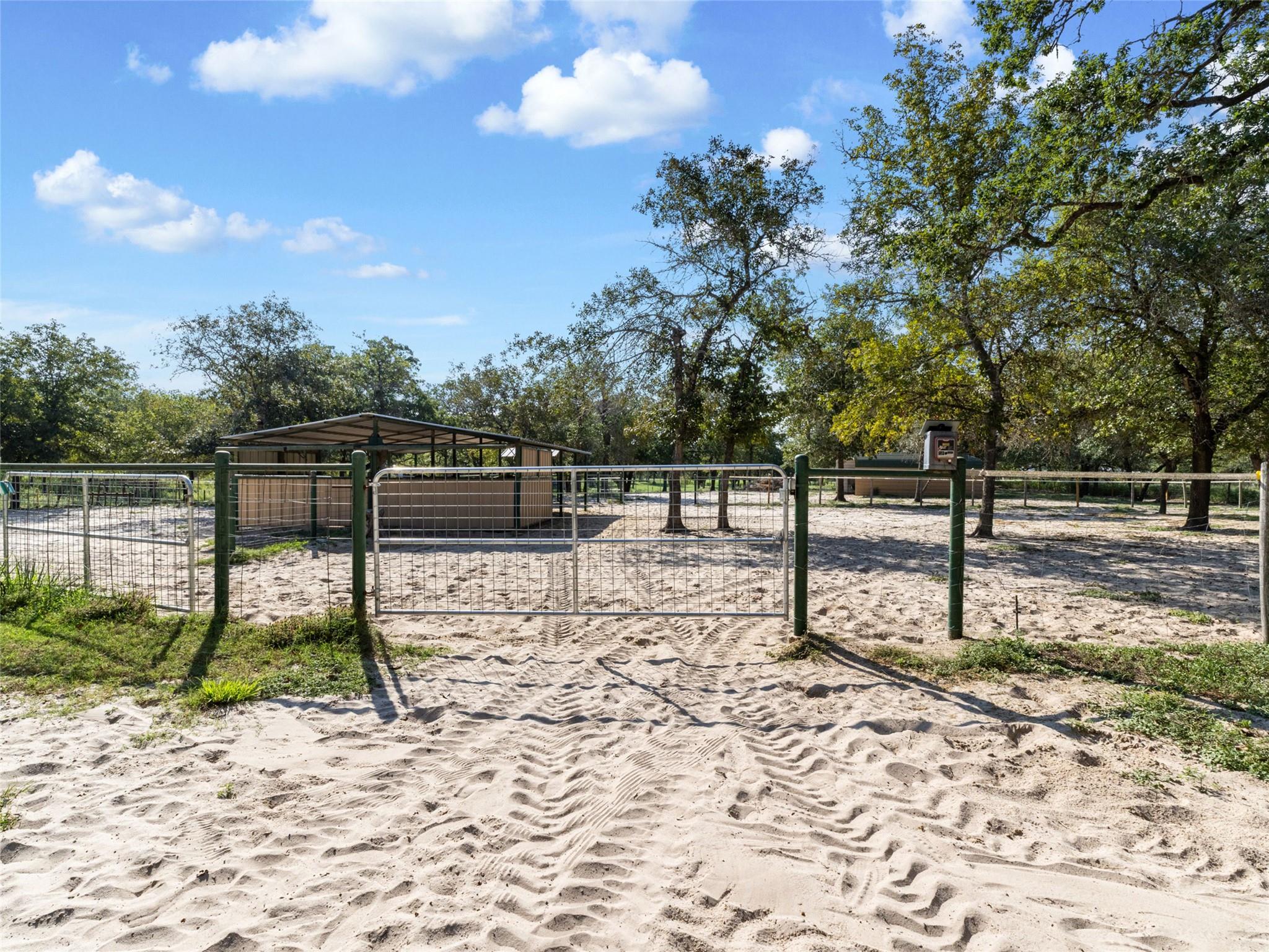 Image 33 of 40 For 1010 Wild Flower