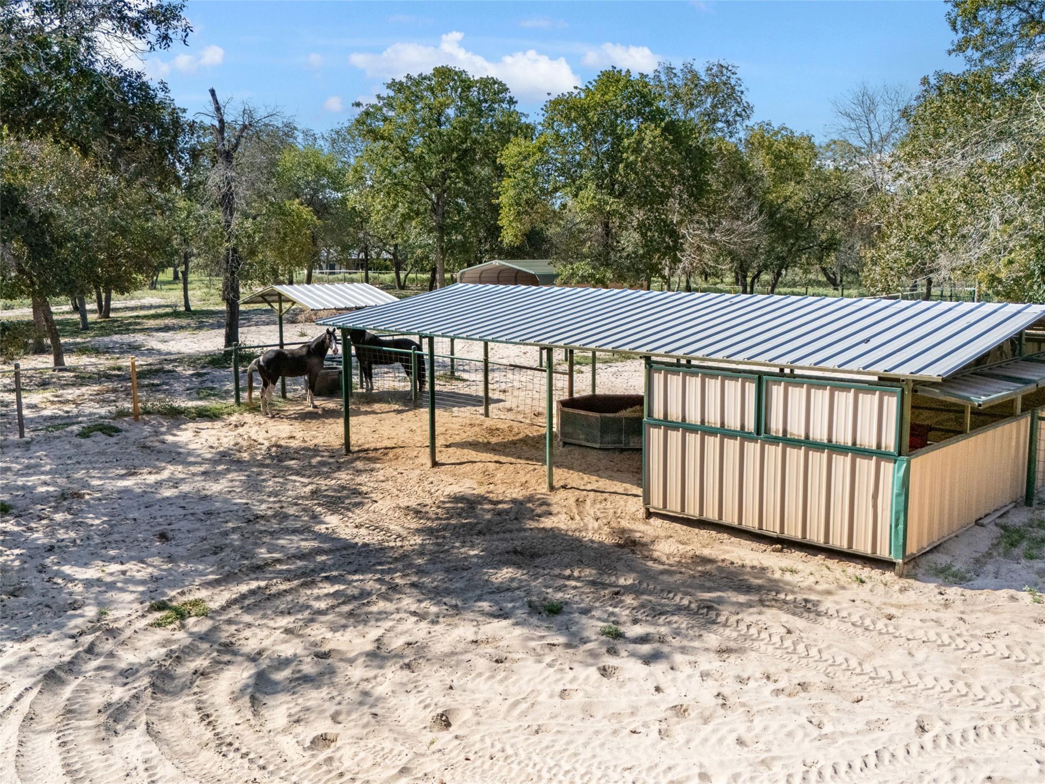 Image 35 of 40 For 1010 Wild Flower