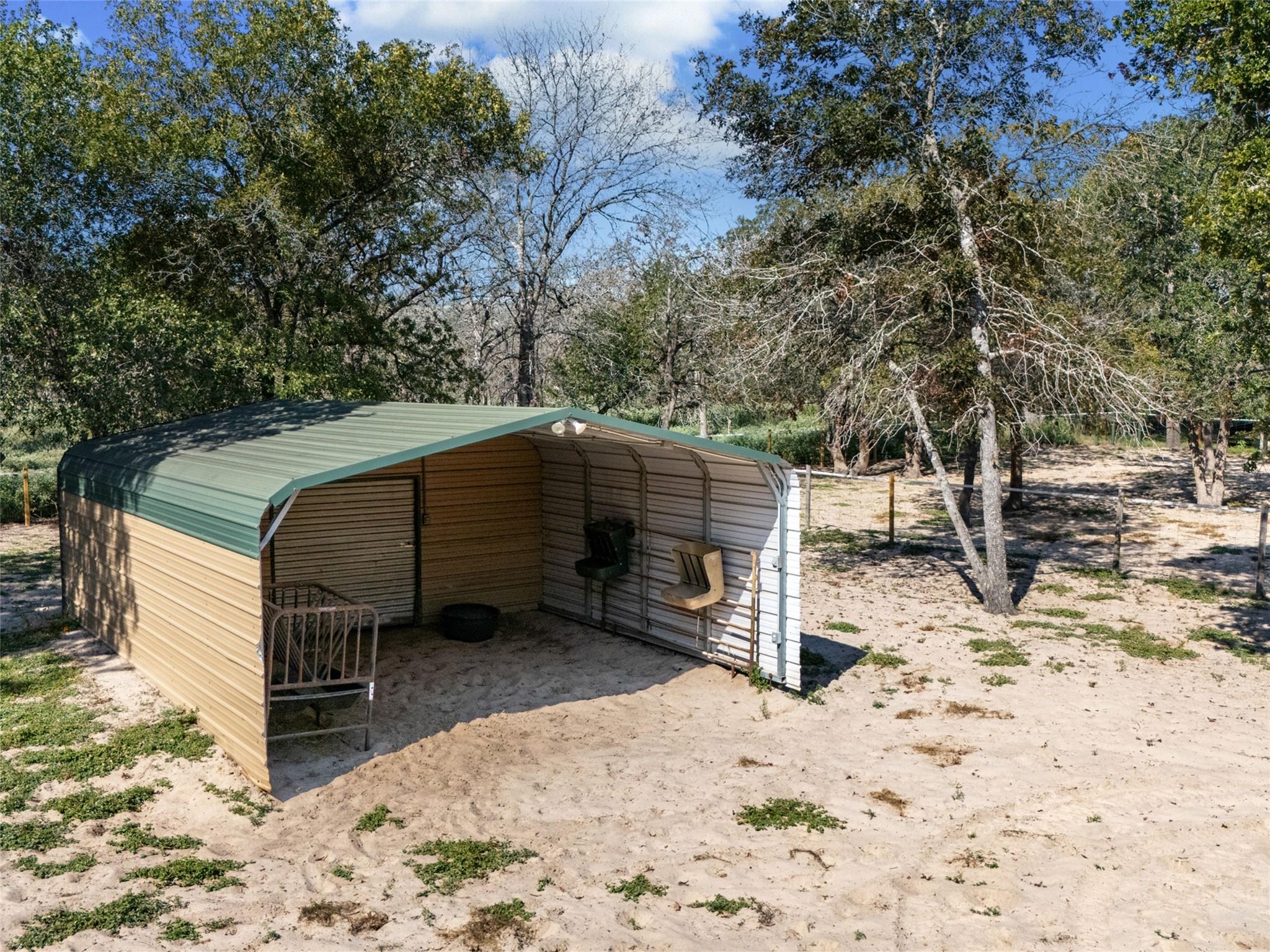 Image 36 of 40 For 1010 Wild Flower