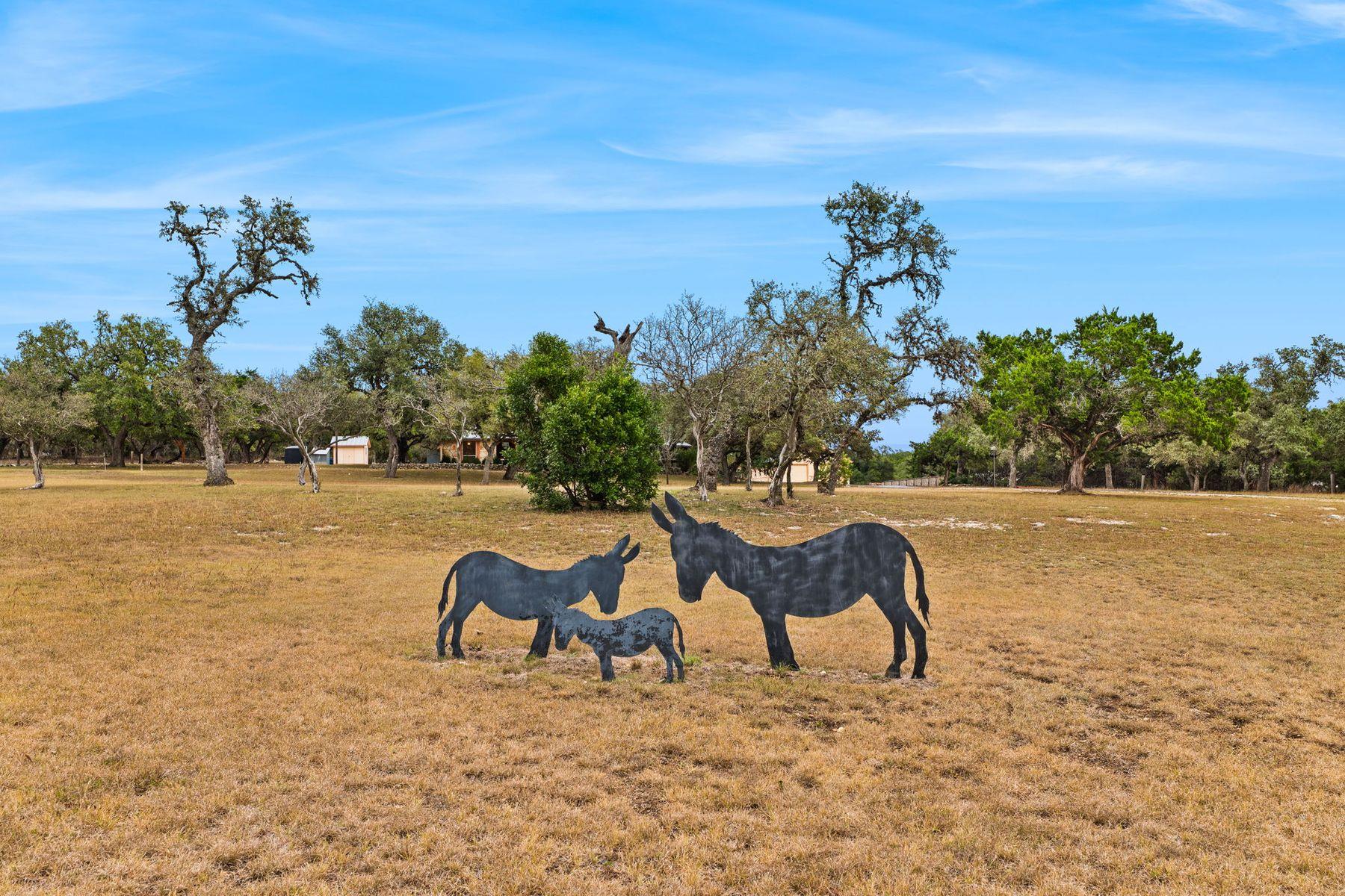 Image 21 of 40 For 115 Sage Oaks Trail Trl