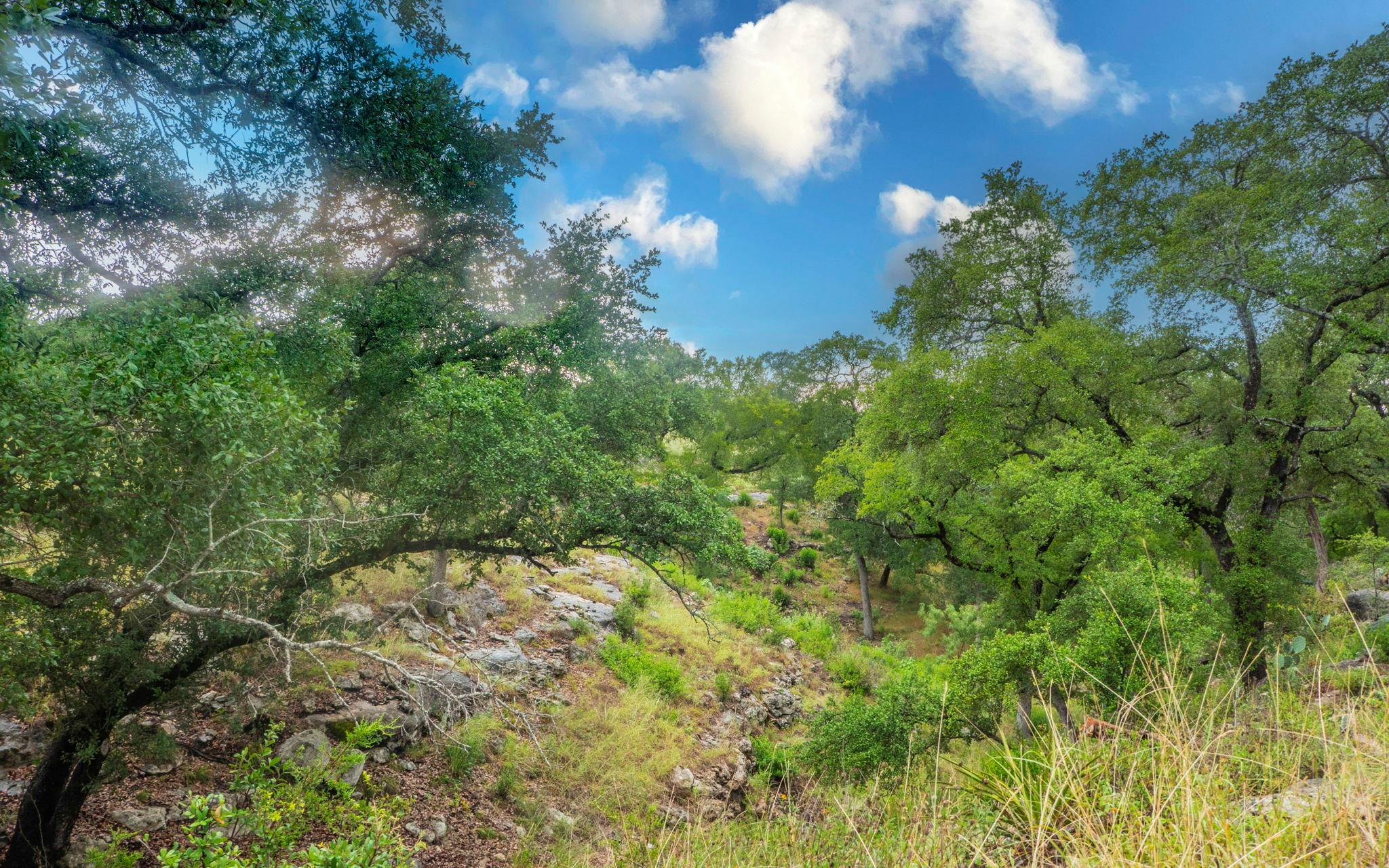 Image 24 of 32 For 123 Vicinity Trl