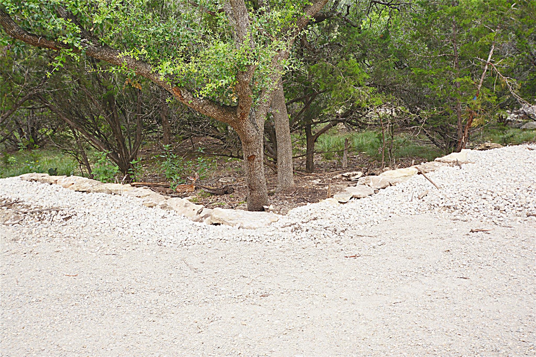 Image 12 of 13 For 197 Bogi St