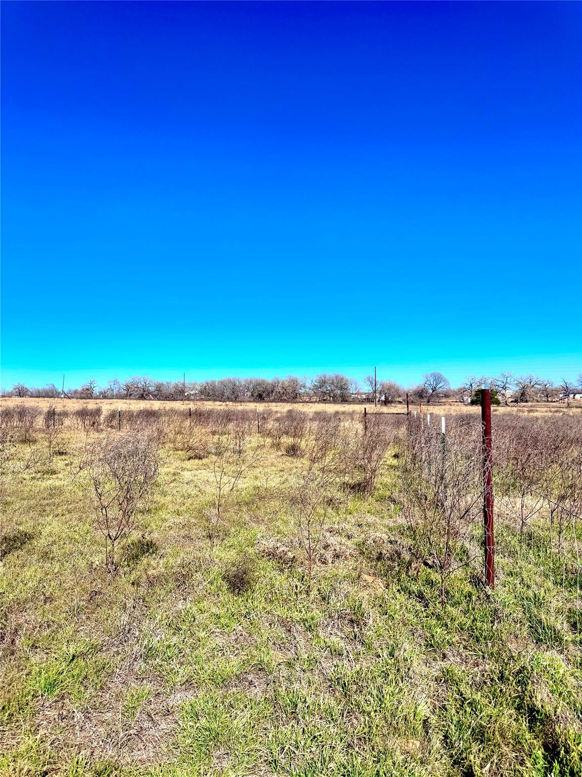 Image 5 of 8 For 261 Engelke Rd