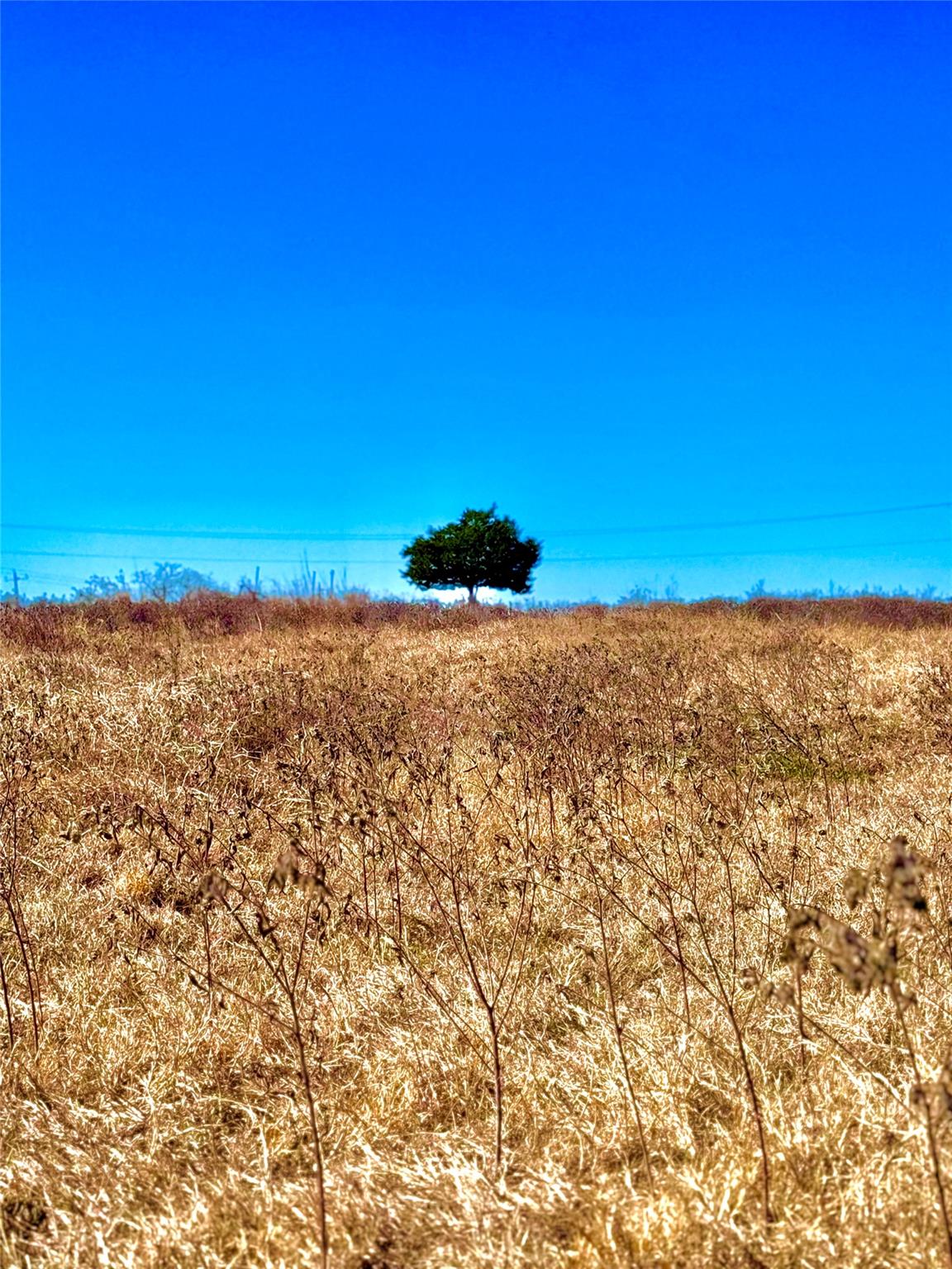 Image 6 of 8 For 261 Engelke Rd