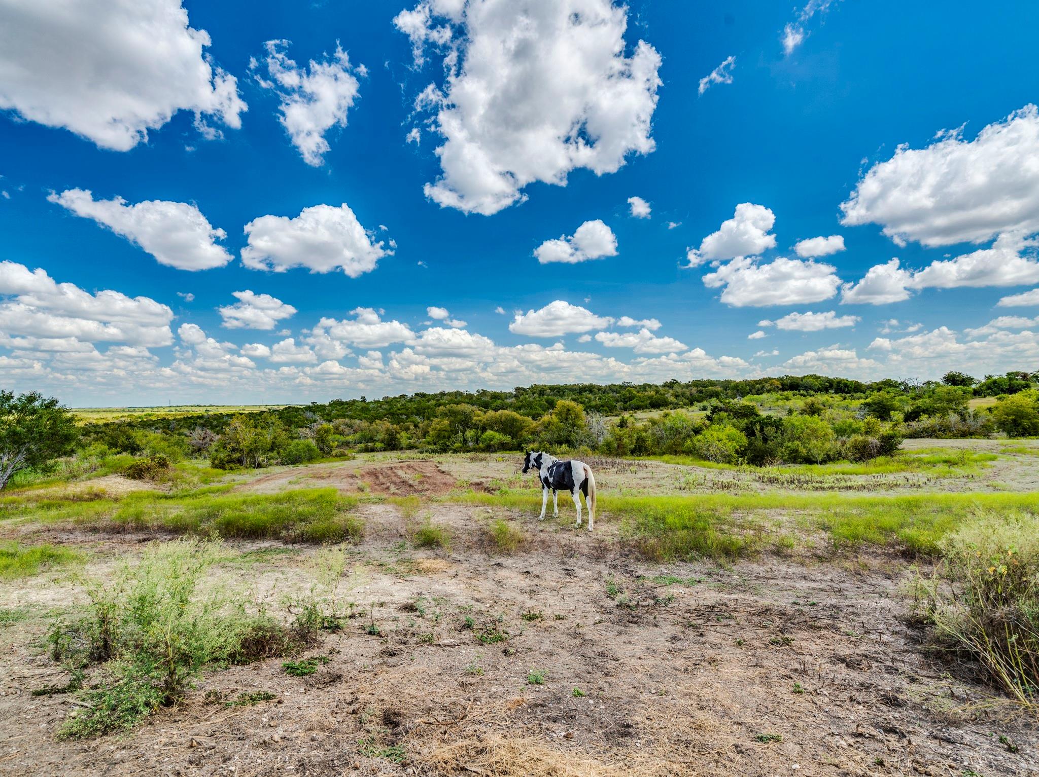 Image 31 of 40 For 182 Lantana Ln