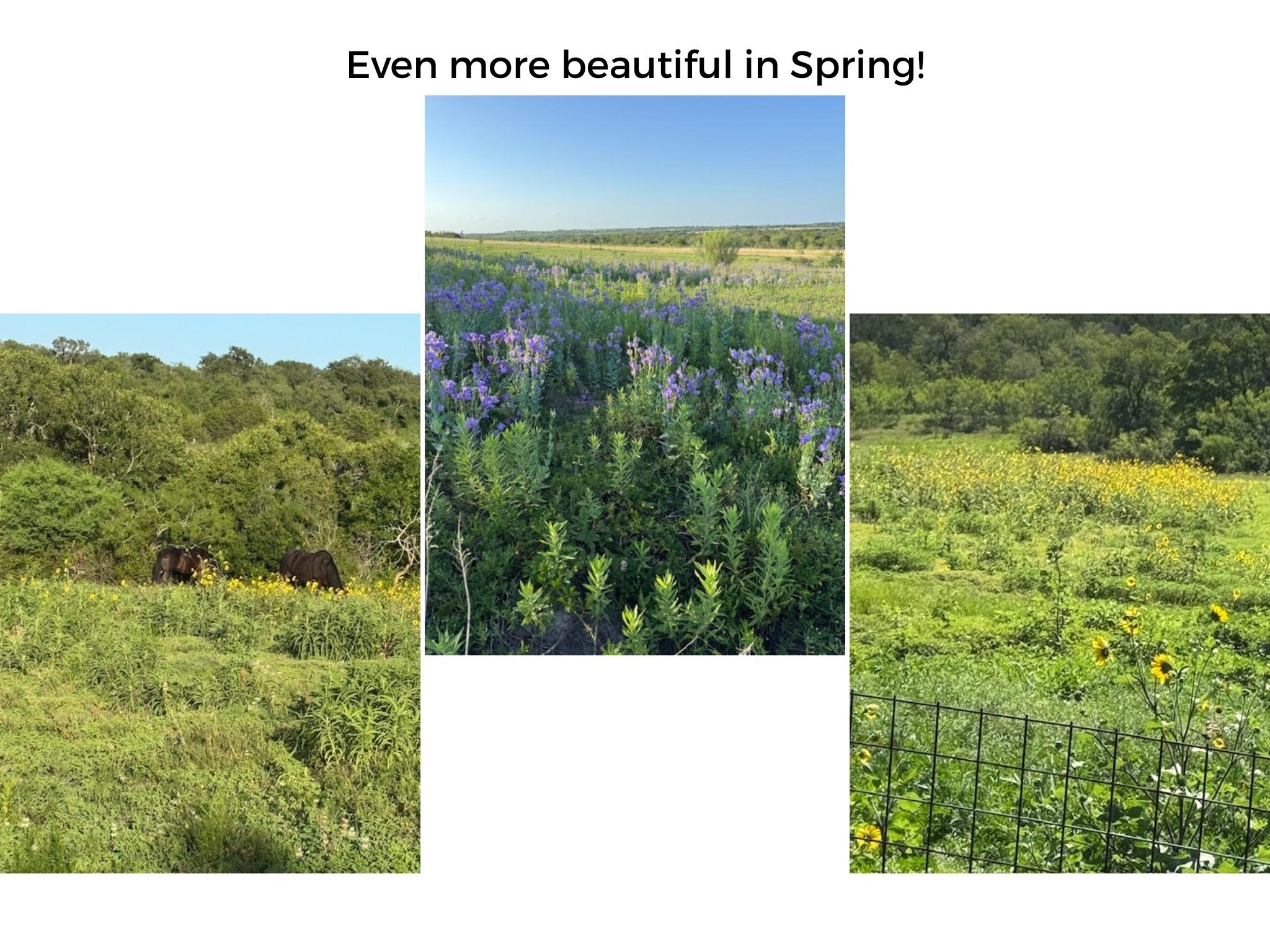 Image 40 of 40 For 182 Lantana Ln