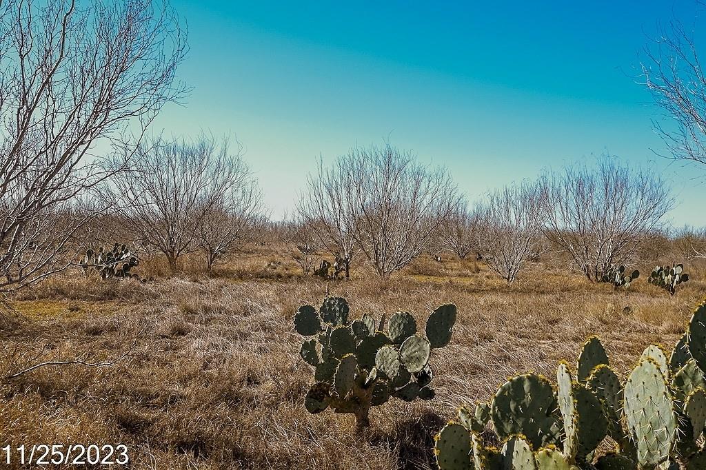 Image 10 of 27 For Tr 3 000 Us Hwy 85