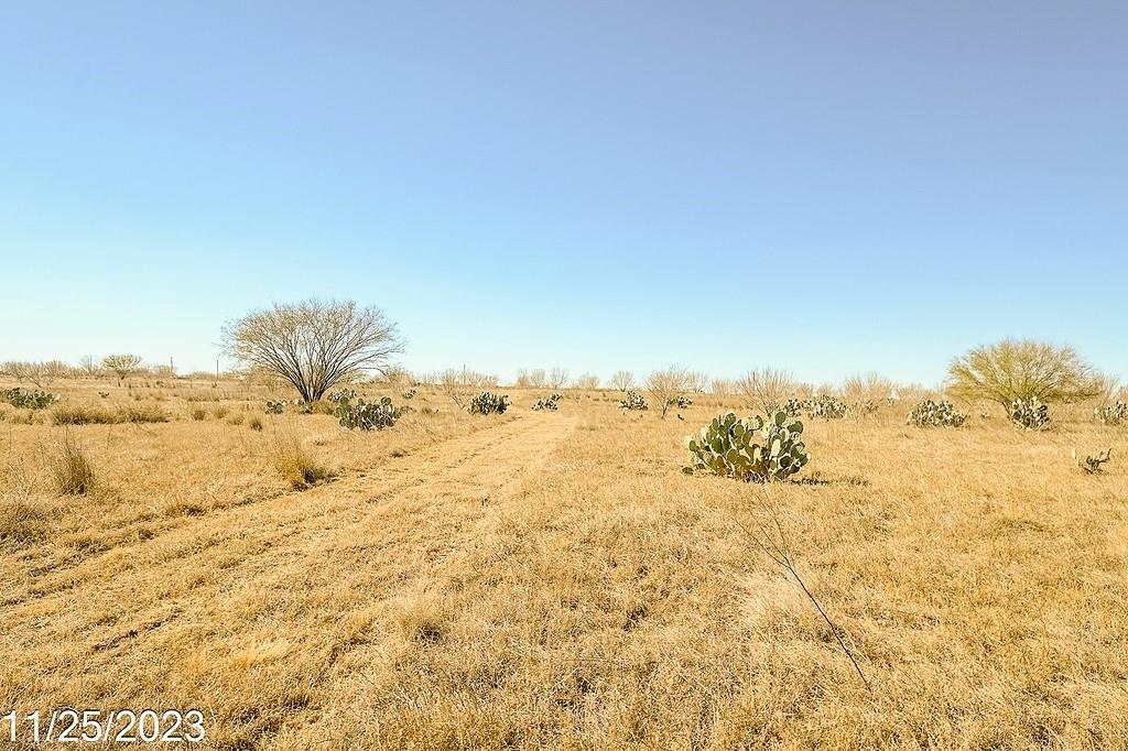 Image 13 of 27 For Tr 3 000 Us Hwy 85