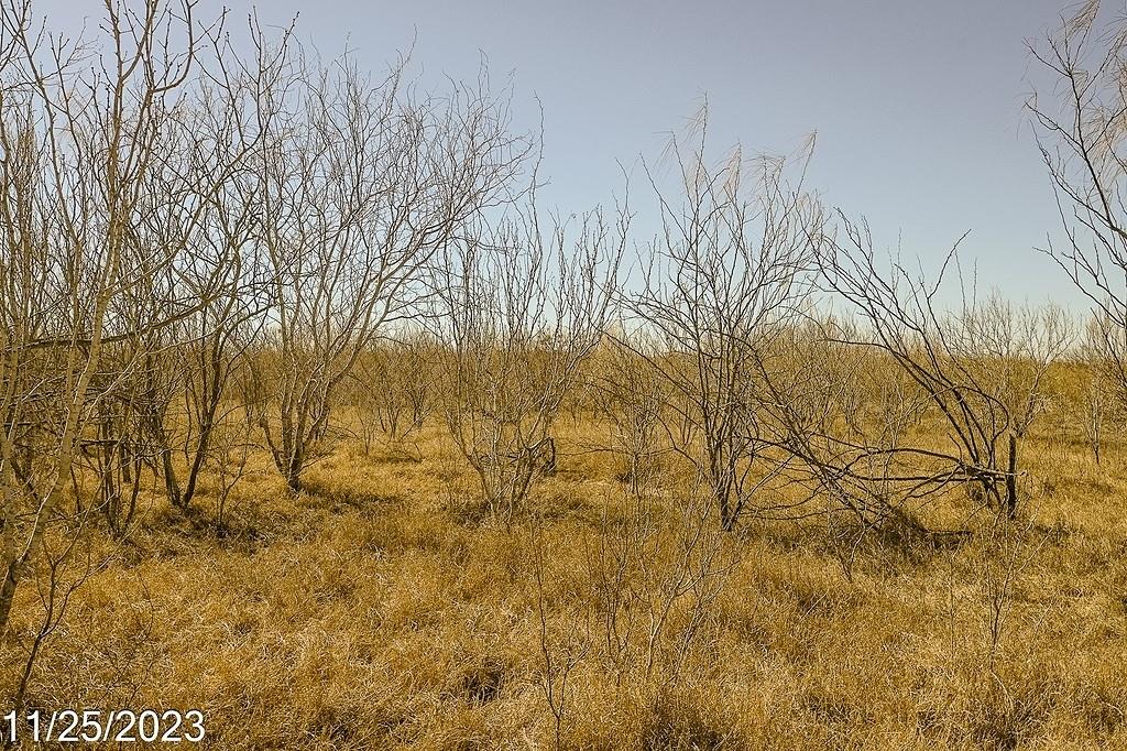 Image 9 of 27 For Tr 3 000 Us Hwy 85