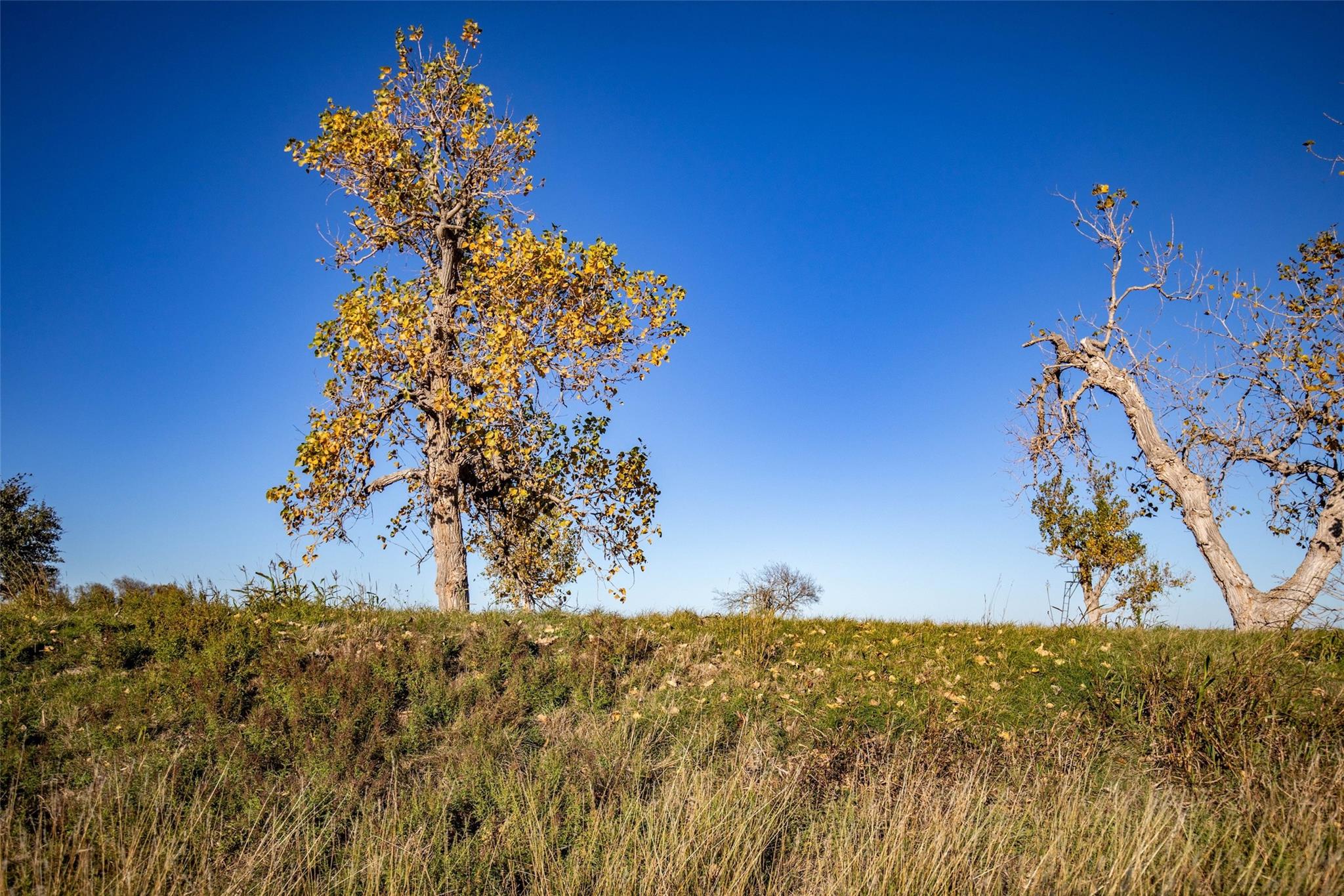 Image 11 of 24 For 14914 Svenska Rd