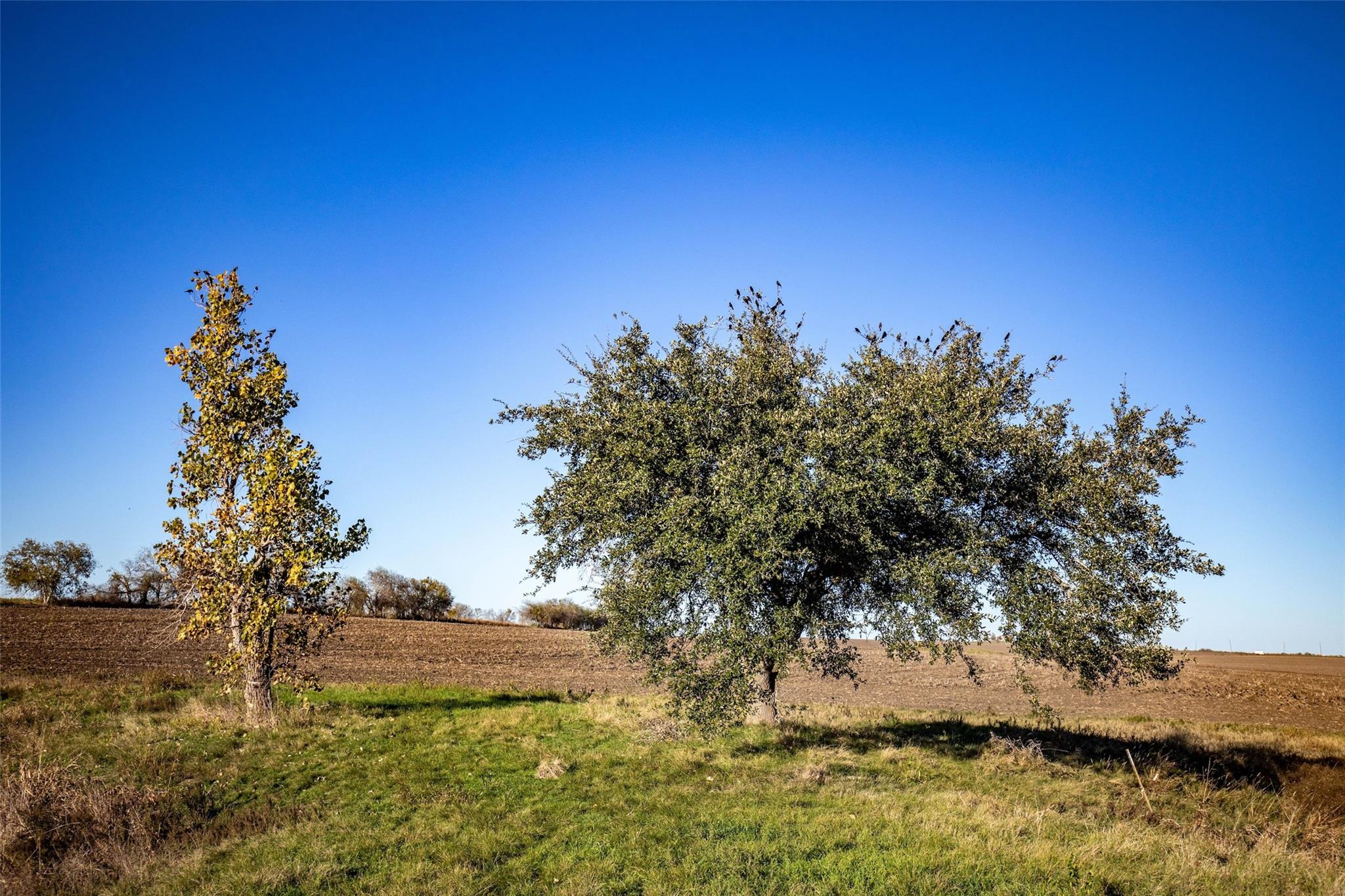 Image 12 of 24 For 14914 Svenska Rd