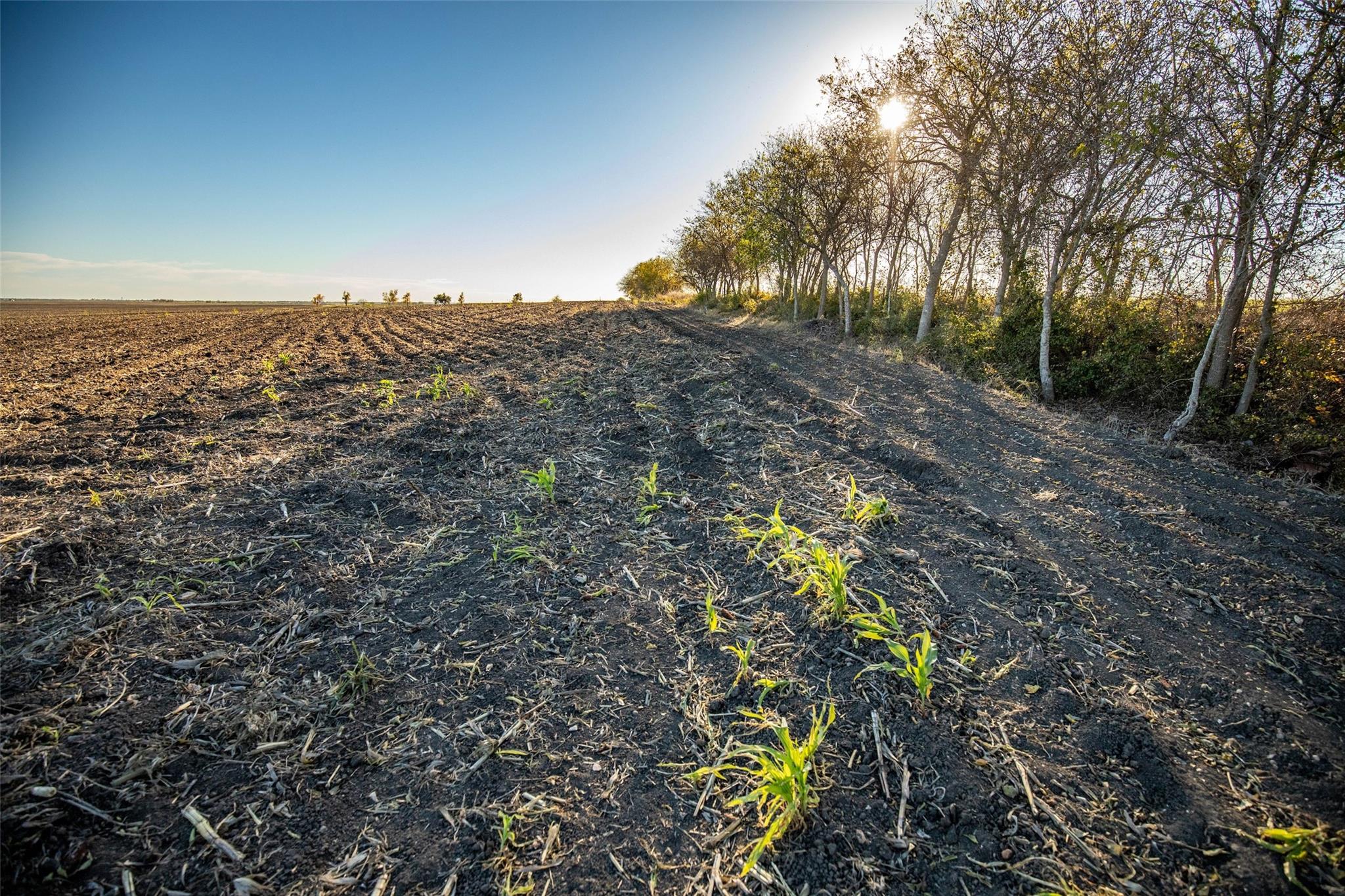 Image 17 of 24 For 14914 Svenska Rd