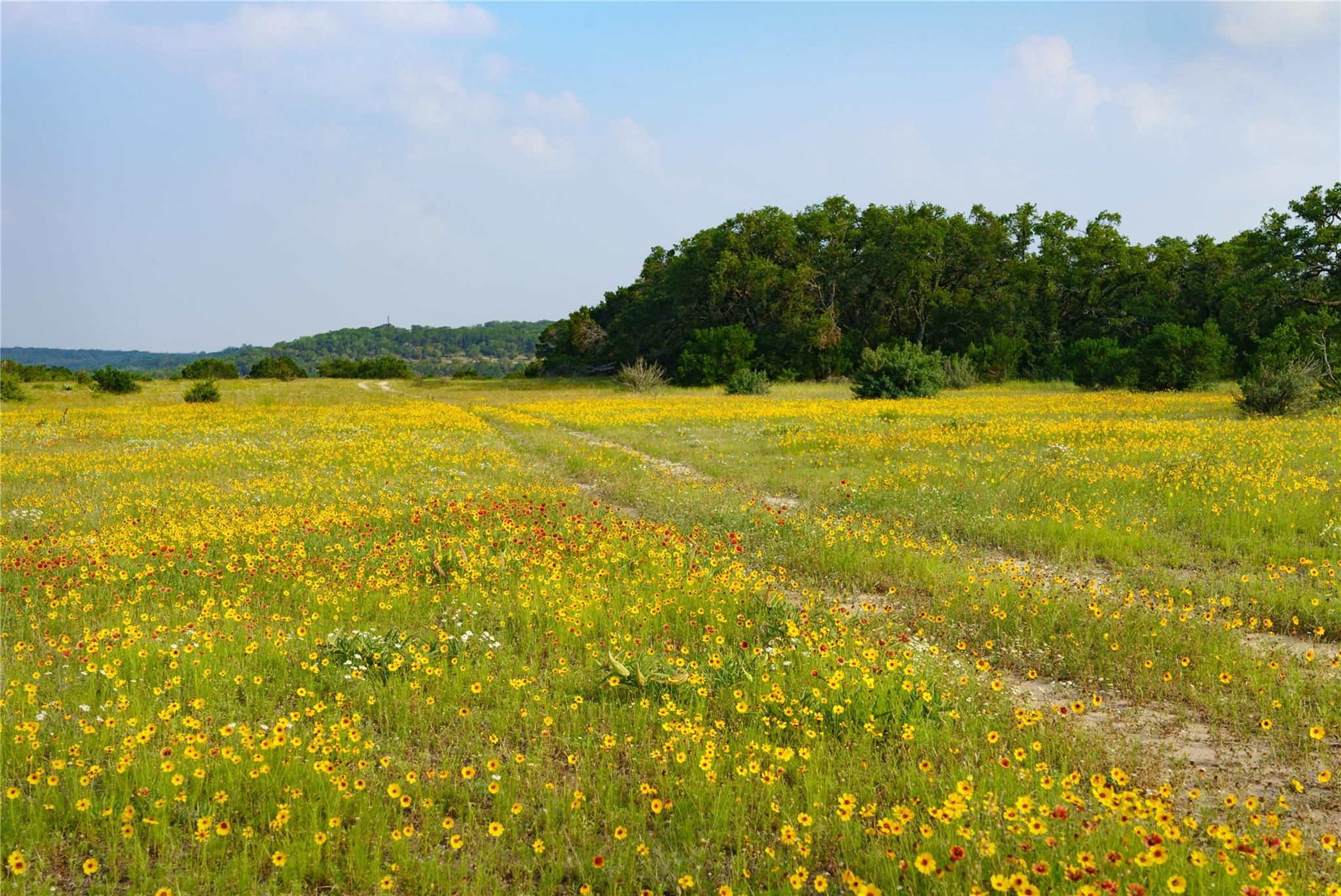 Image 7 of 39 For 892 Baird Ranch Rd