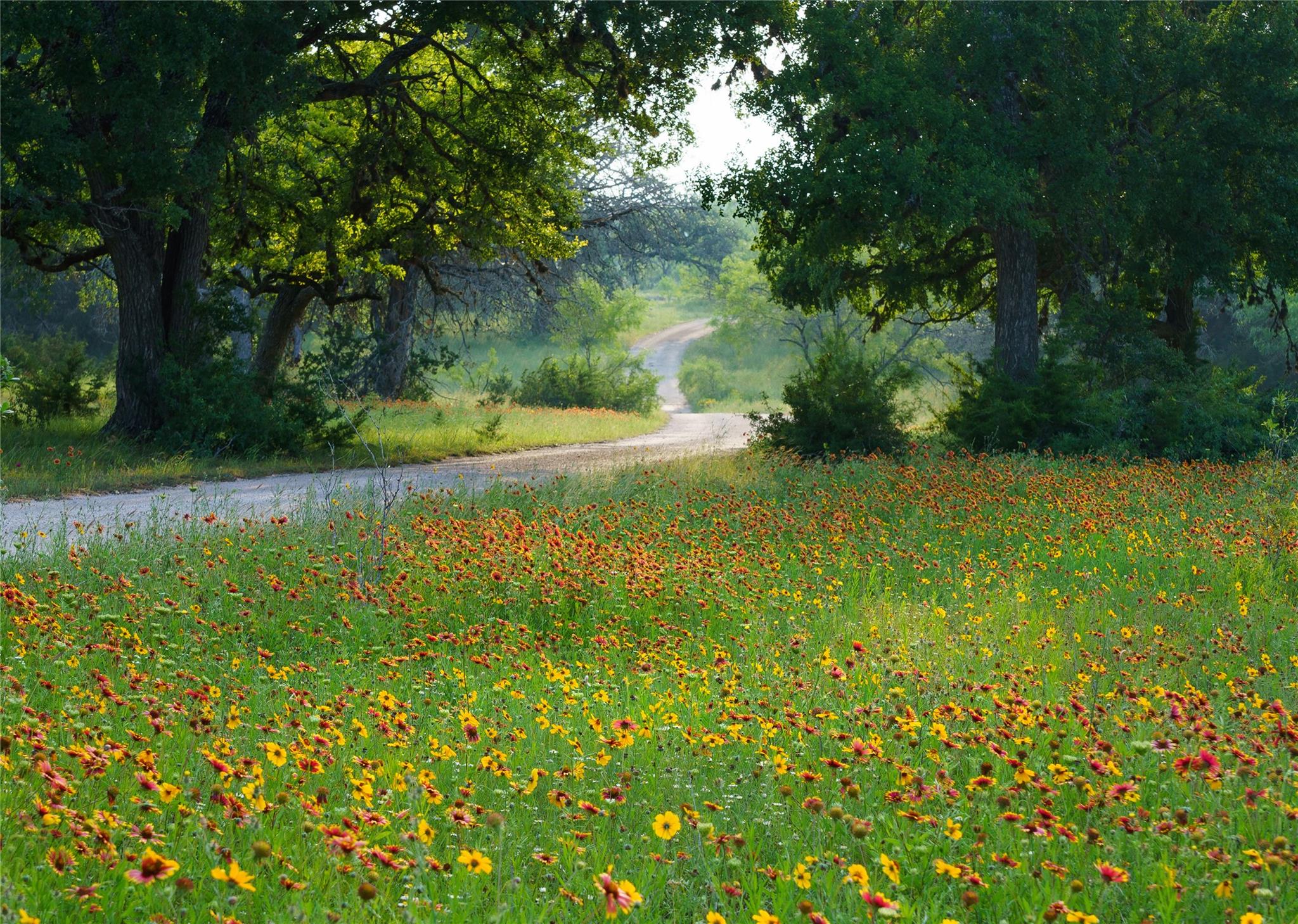 Image 8 of 39 For 892 Baird Ranch Rd