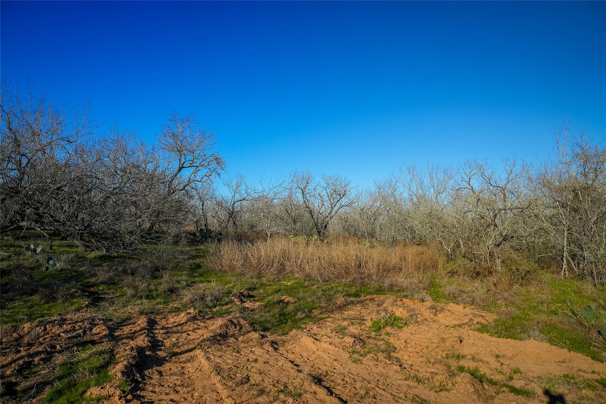 Image 6 of 19 For 0 Tract 8 Cross Rd