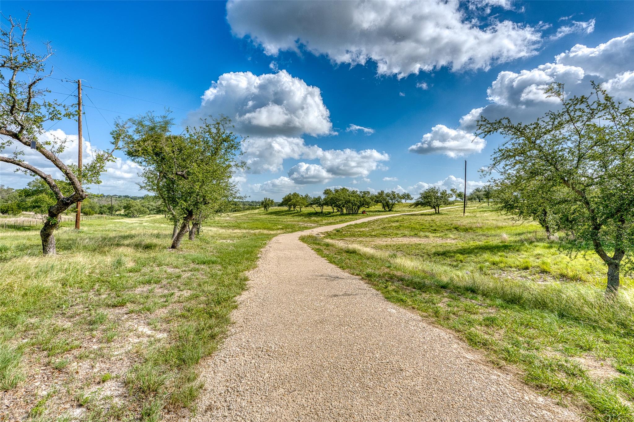 Image 12 of 19 For 191 Pivot Cir