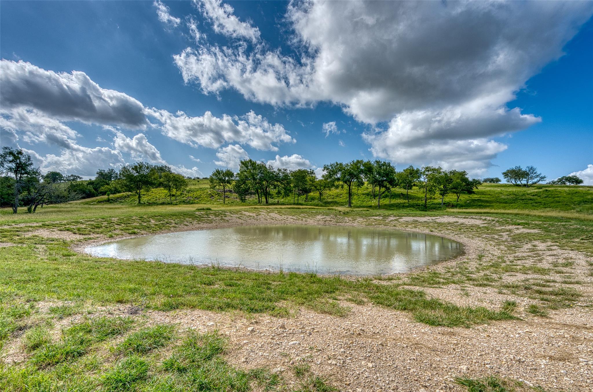 Image 7 of 19 For 191 Pivot Cir