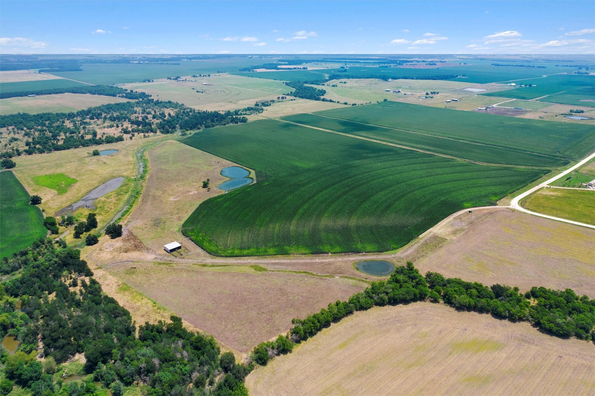 Image 3 of 12 For 1117 County Road 423