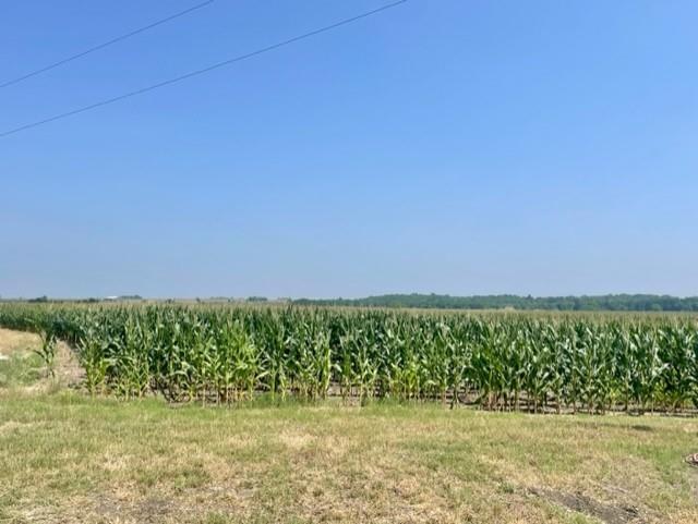 Image 5 of 12 For 1117 County Road 423