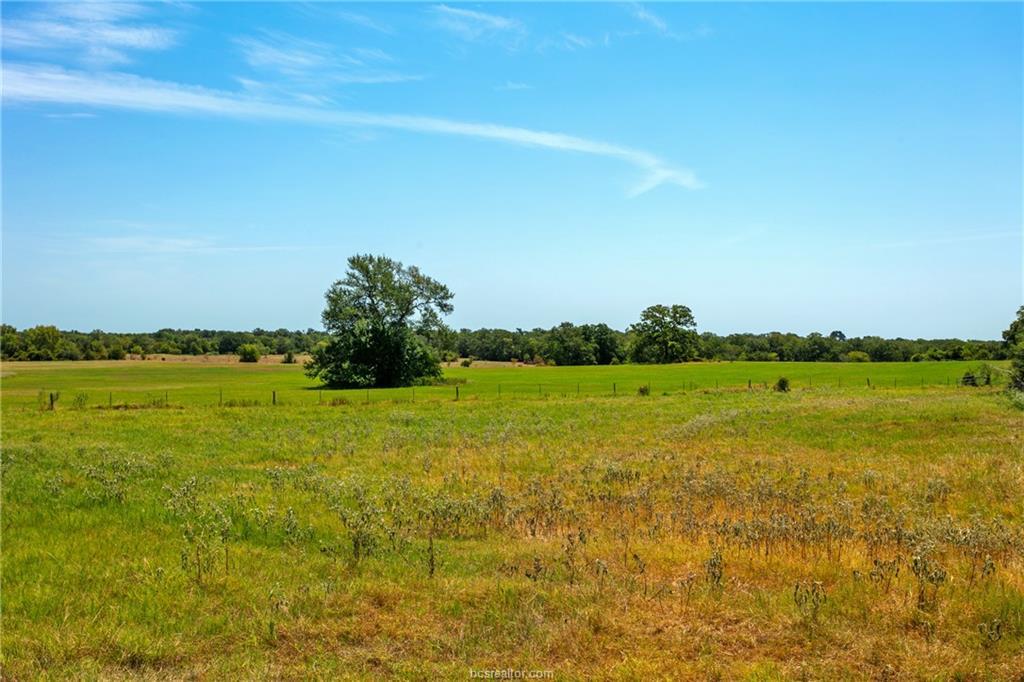 Image 6 of 18 For Tbd(+-- 28.63 Acres) Fm 166