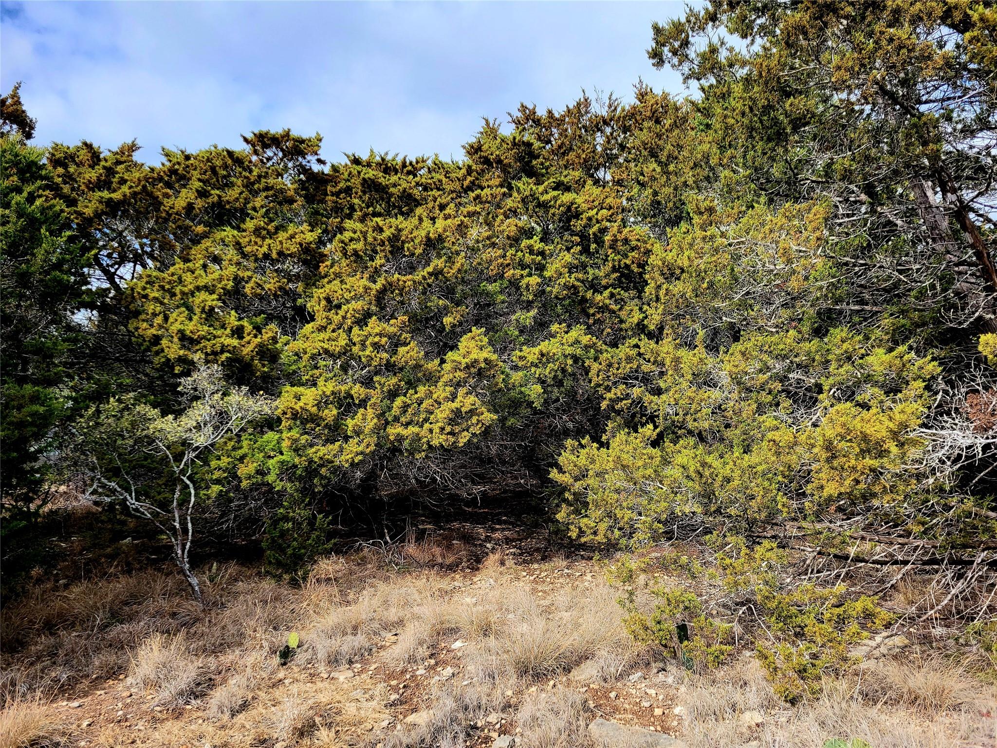 Details for 2066 Stallion Springs Dr, Fischer, TX 78623