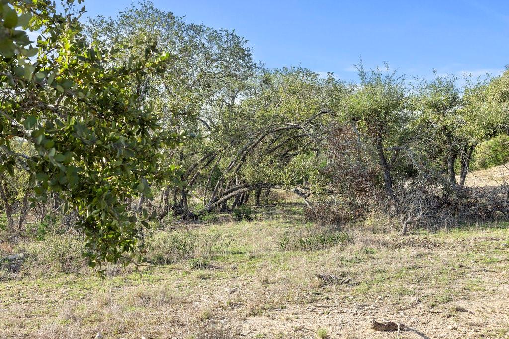 Image 11 of 15 For Lot39 Prancing Deer Ln