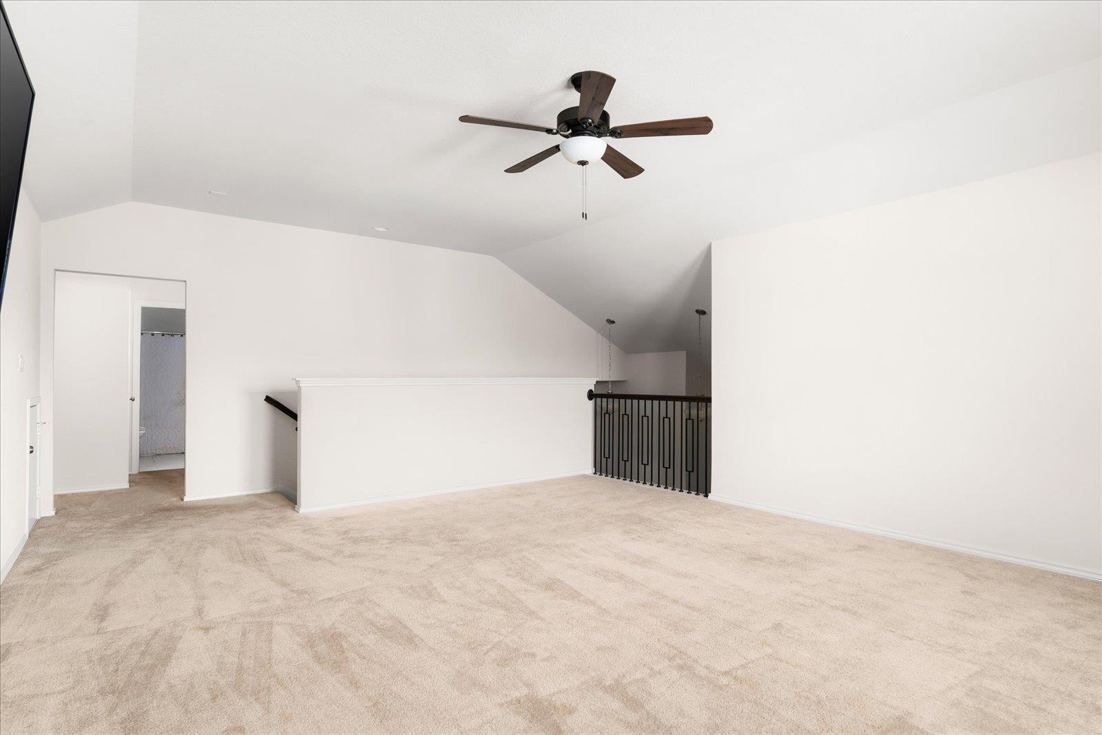 Image 24 of 40 For 3262 Wild Iris