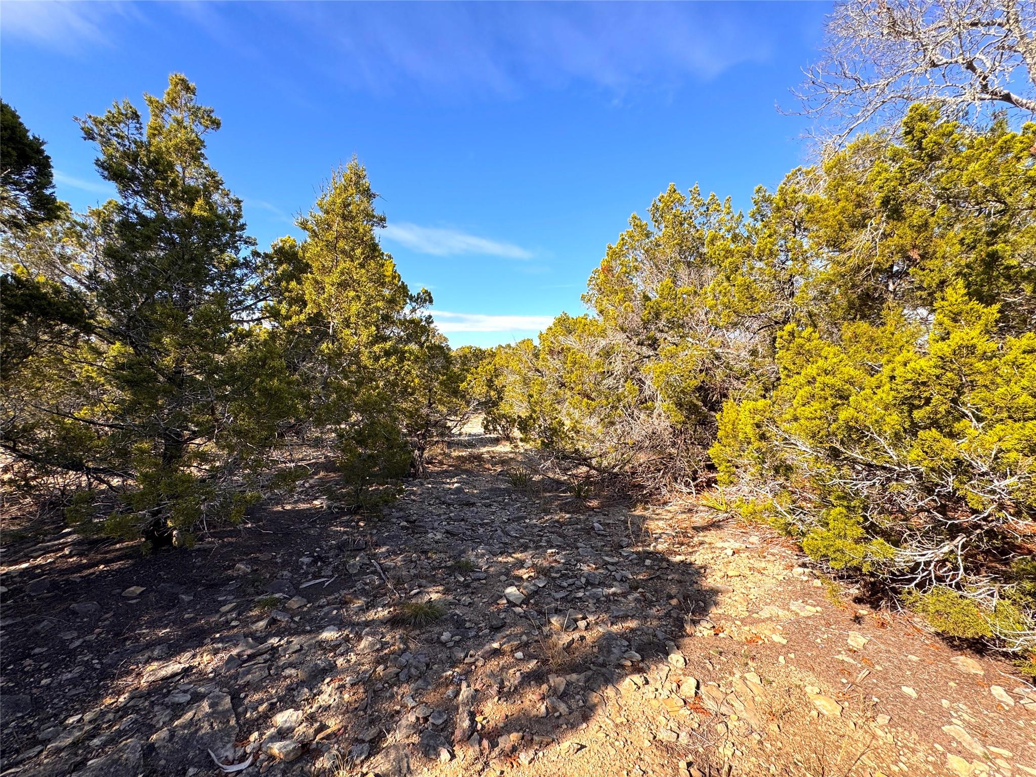 Image 10 of 13 For 985 Oblate Dr Dr